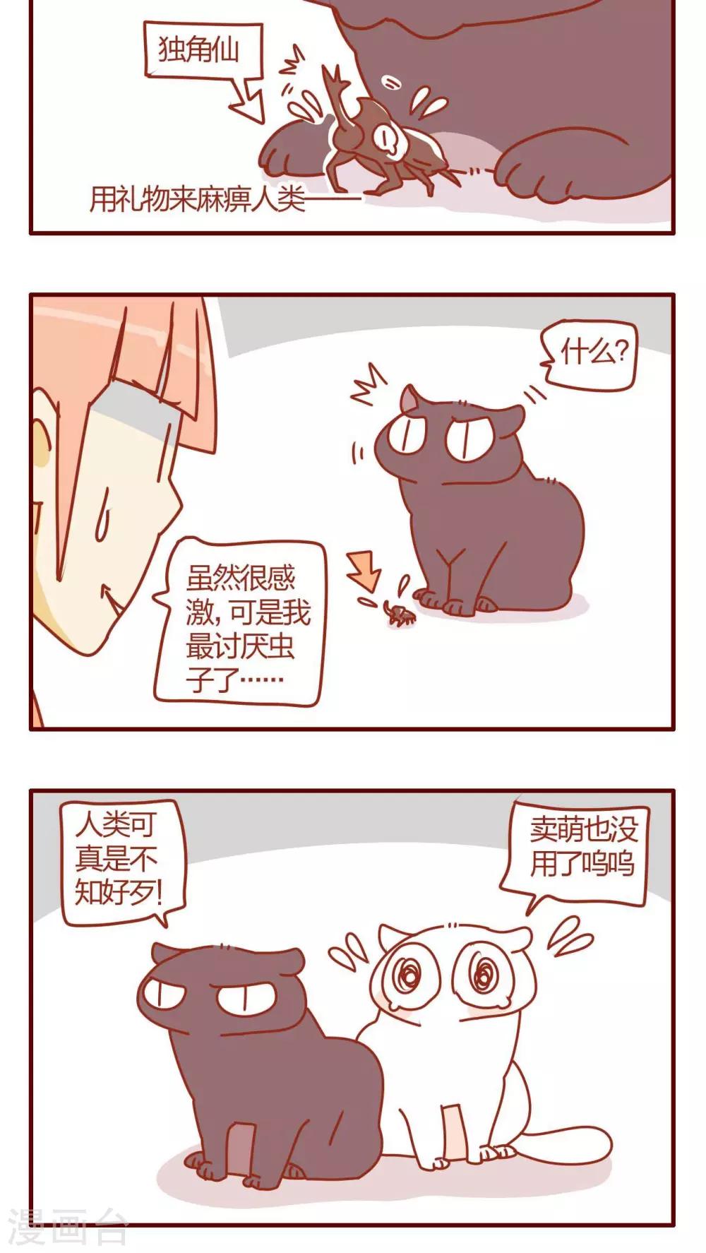 《猫咪甜品屋》第15话 第4页
