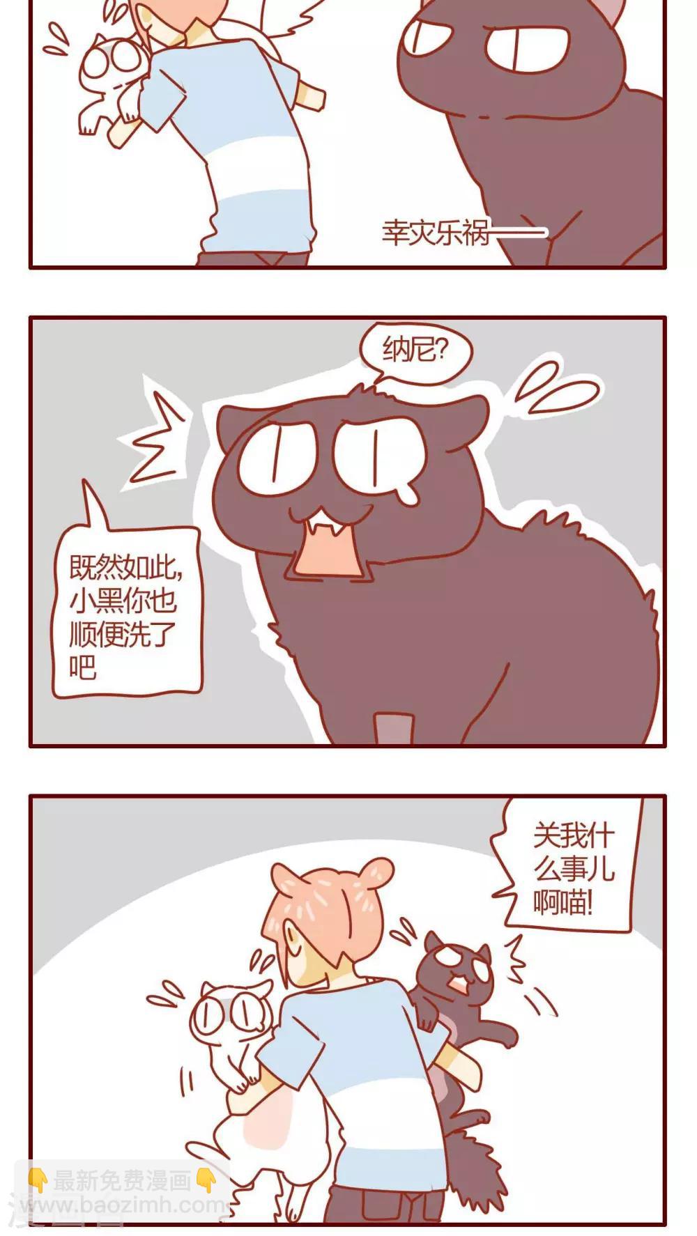 《猫咪甜品屋》第19话 第11页