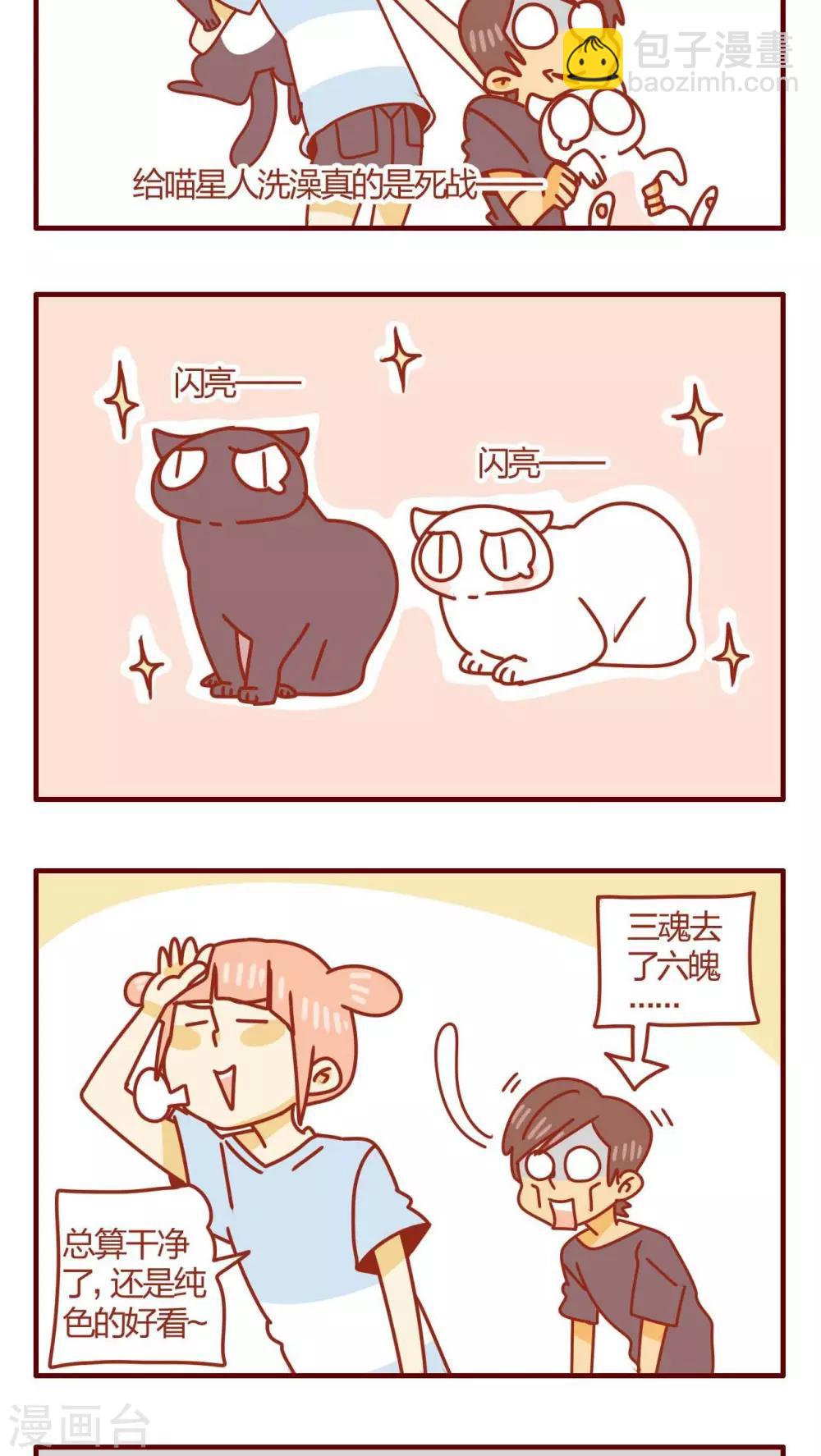 《猫咪甜品屋》第19话 第13页