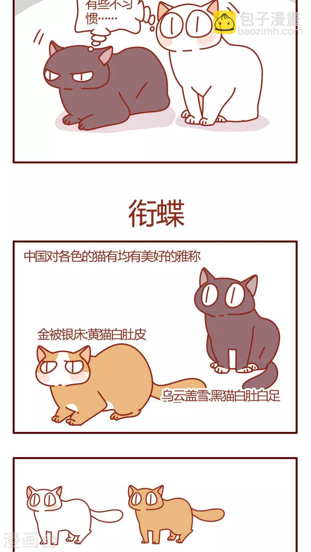 《猫咪甜品屋》第19话 第4页