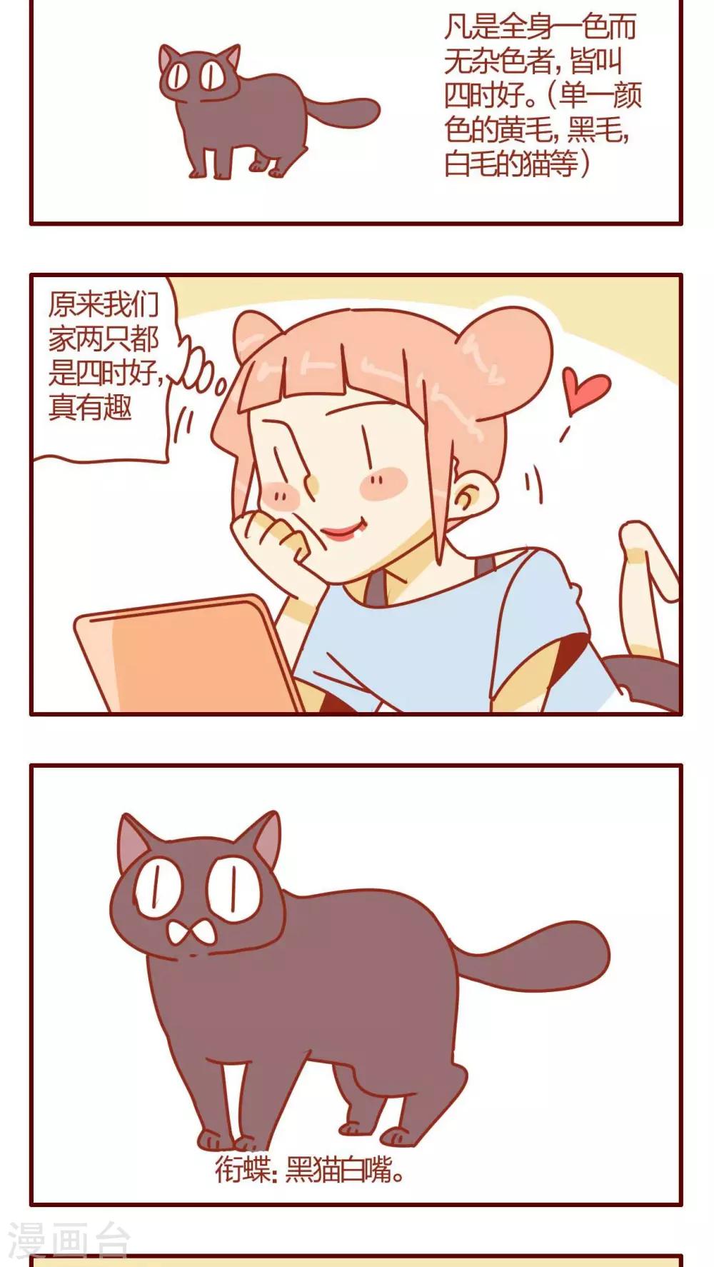 《猫咪甜品屋》第19话 第5页