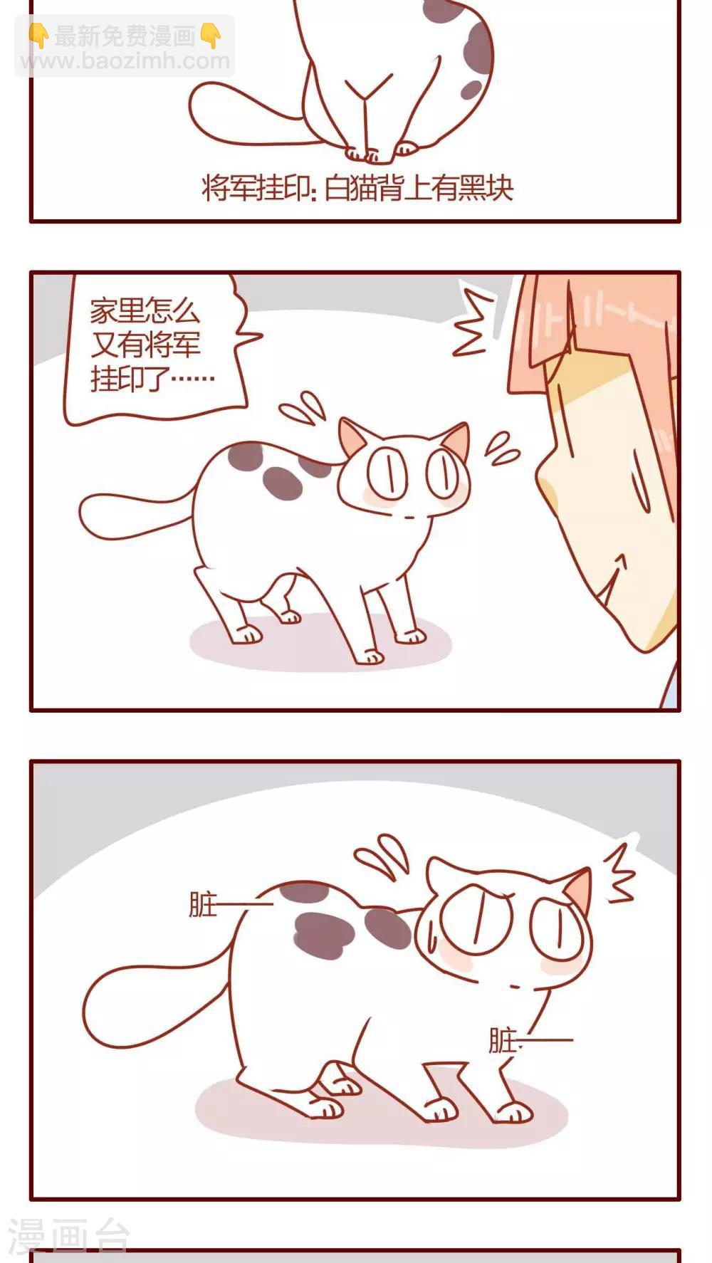 《猫咪甜品屋》第19话 第9页