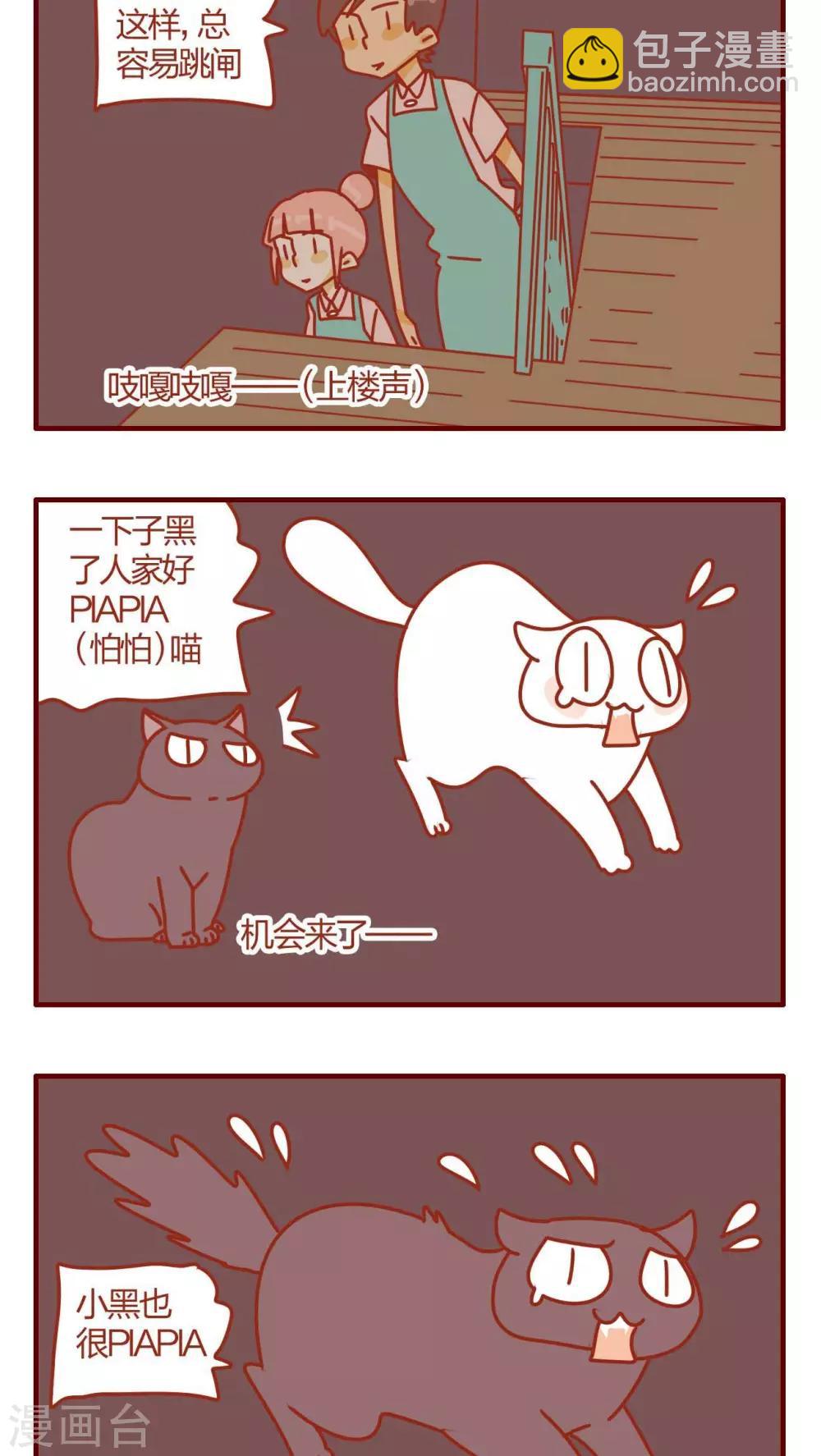 《猫咪甜品屋》第17话 第4页