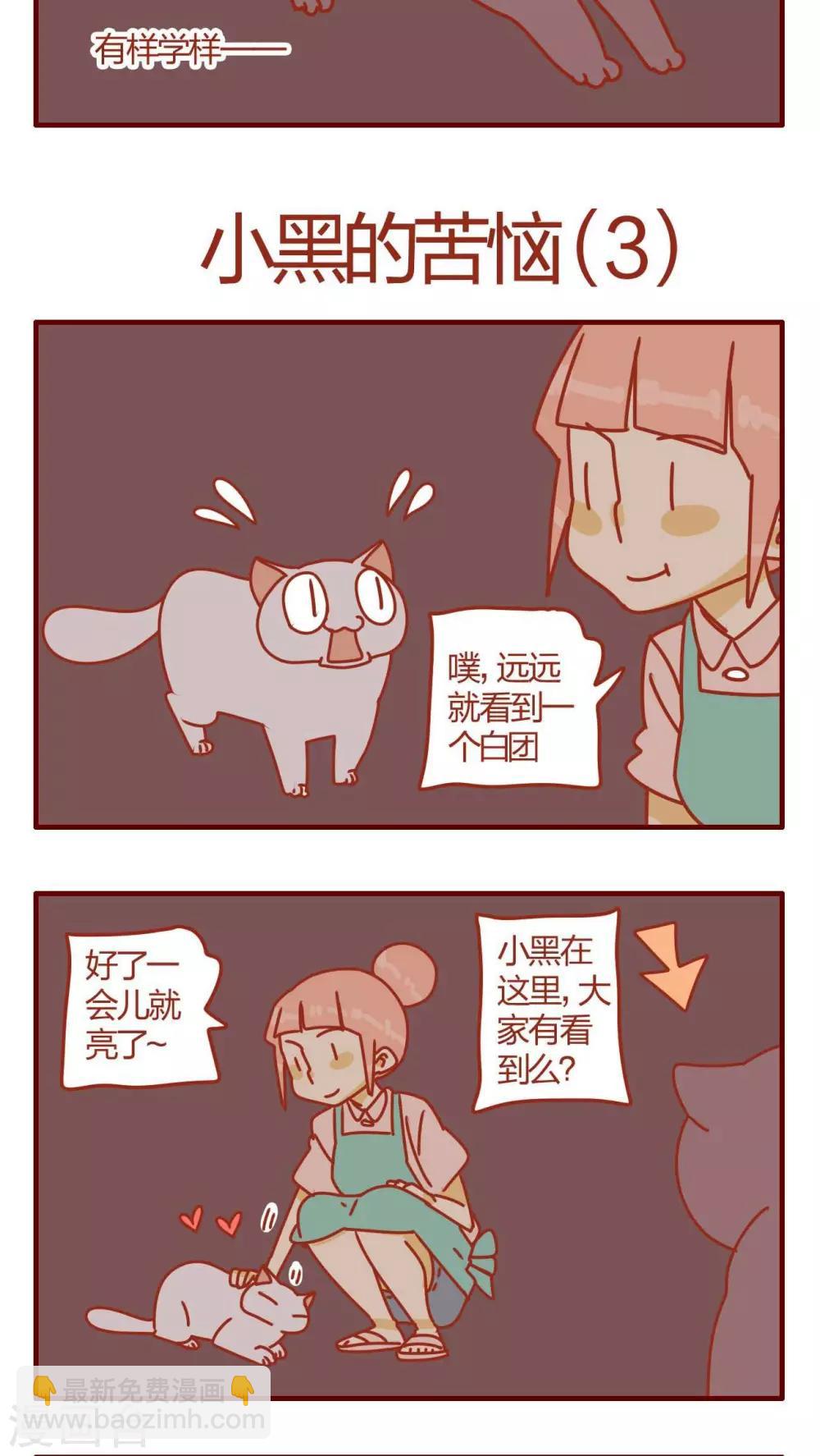 《猫咪甜品屋》第17话 第5页