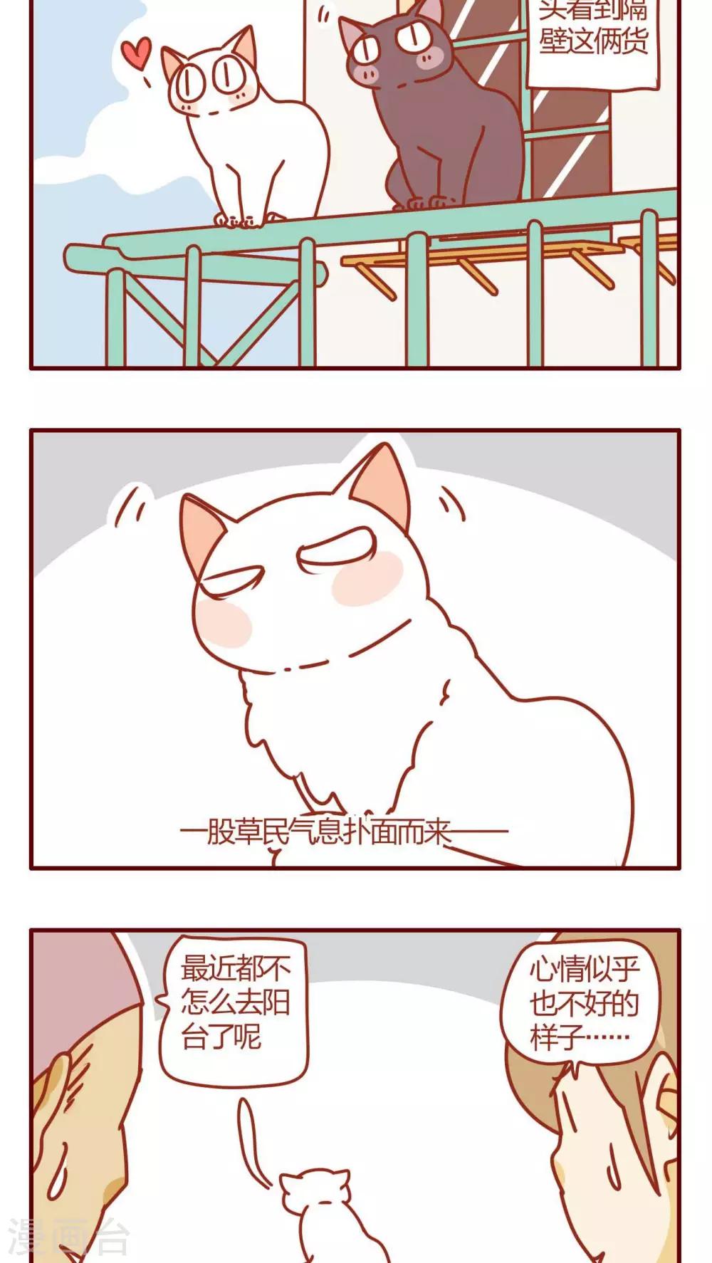 《猫咪甜品屋》第23话 第12页