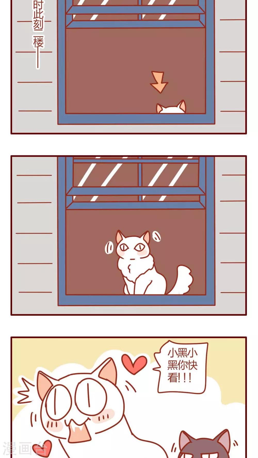 《猫咪甜品屋》第22话 第12页