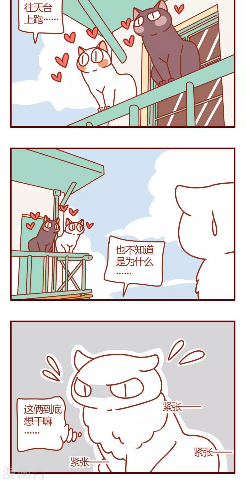 《猫咪甜品屋》第22话 第16页