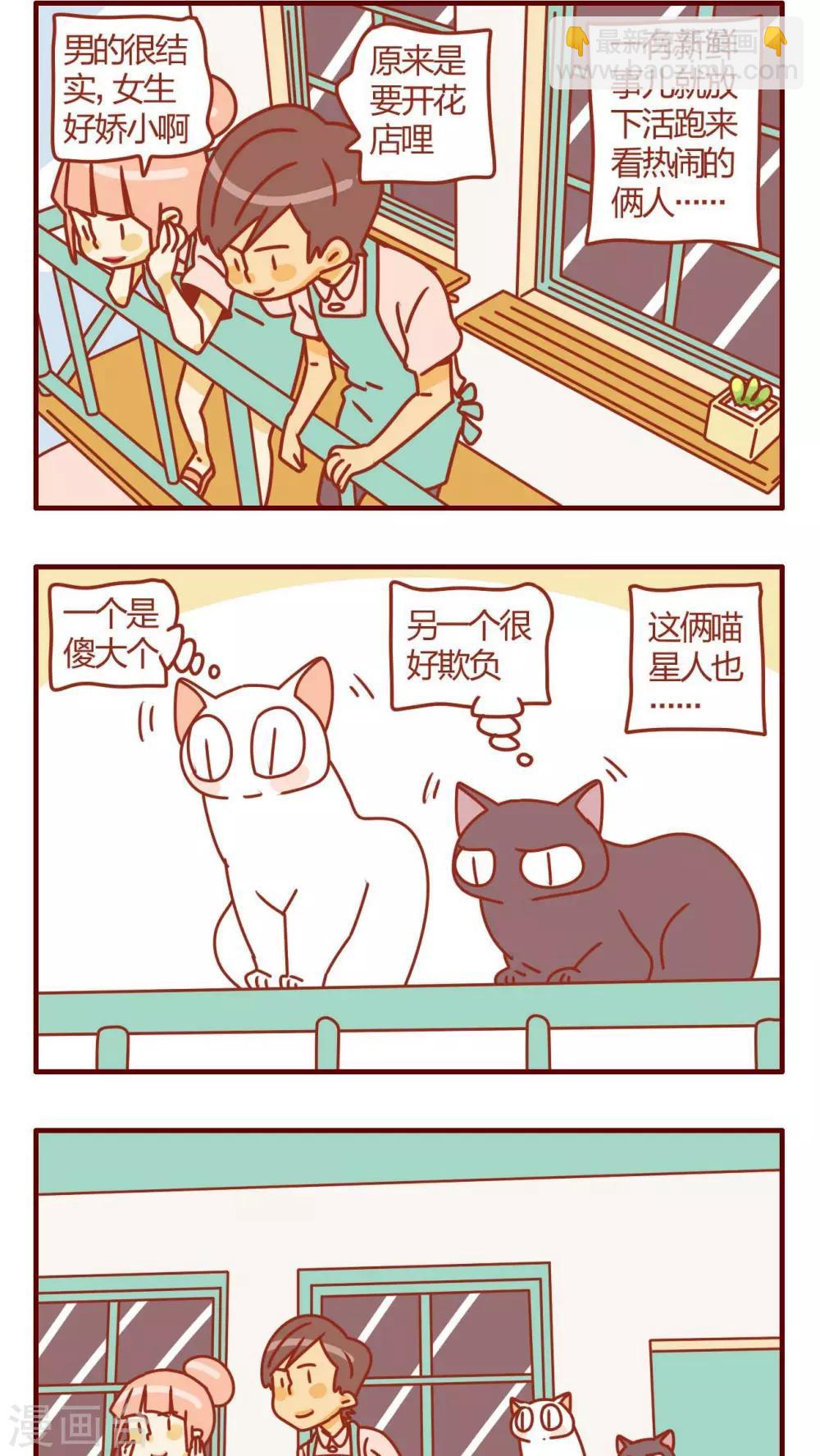 《猫咪甜品屋》第22话 第2页