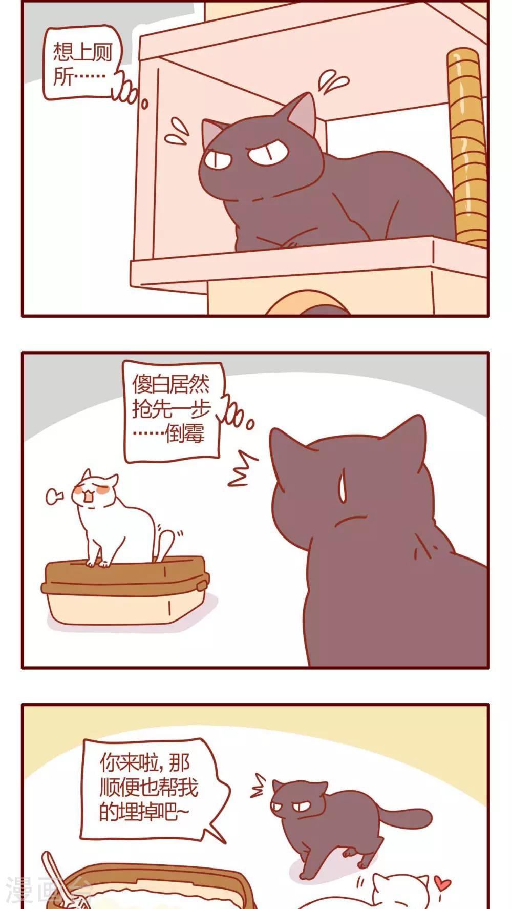 《猫咪甜品屋》第21话 第6页