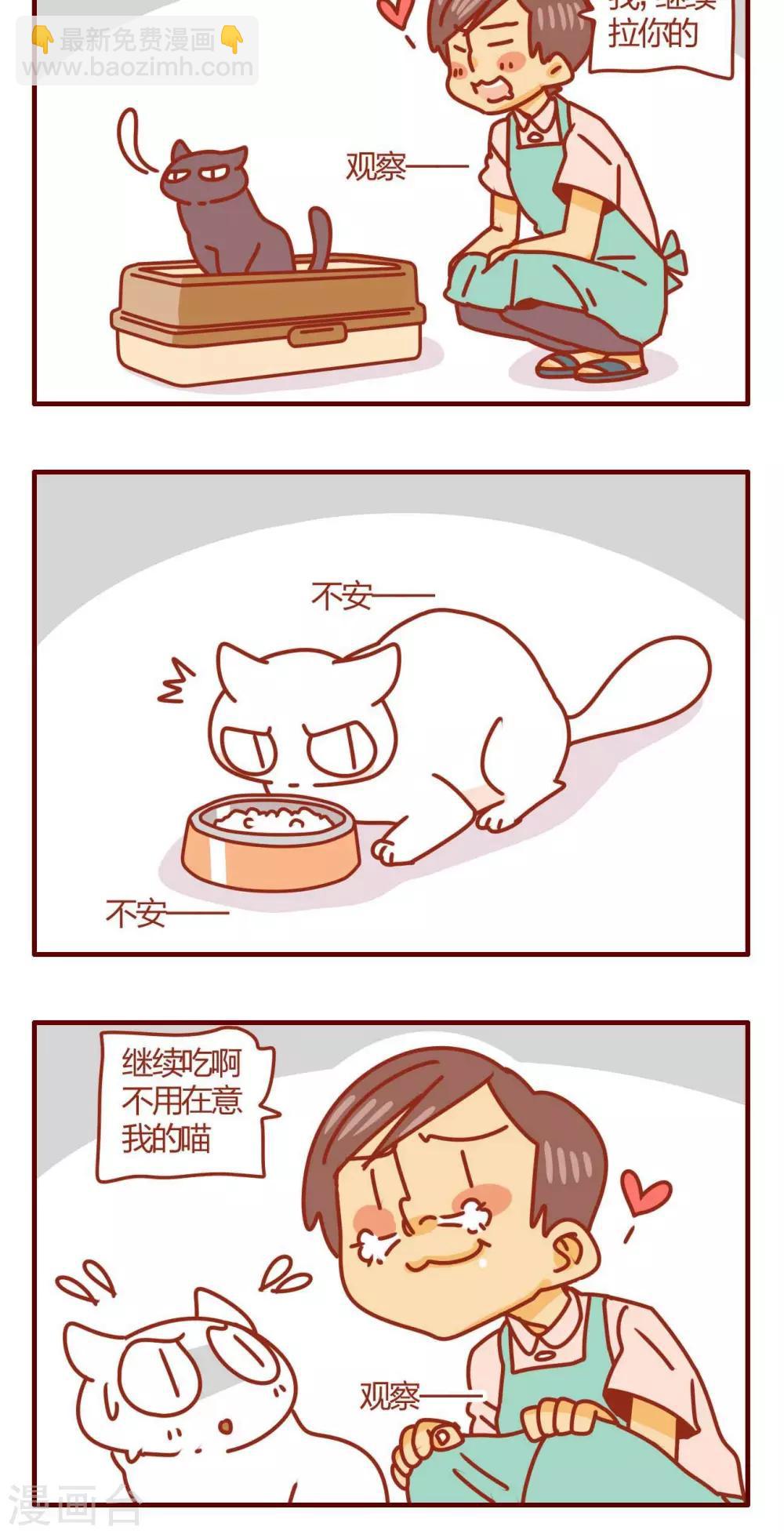 《猫咪甜品屋》第28话 第16页
