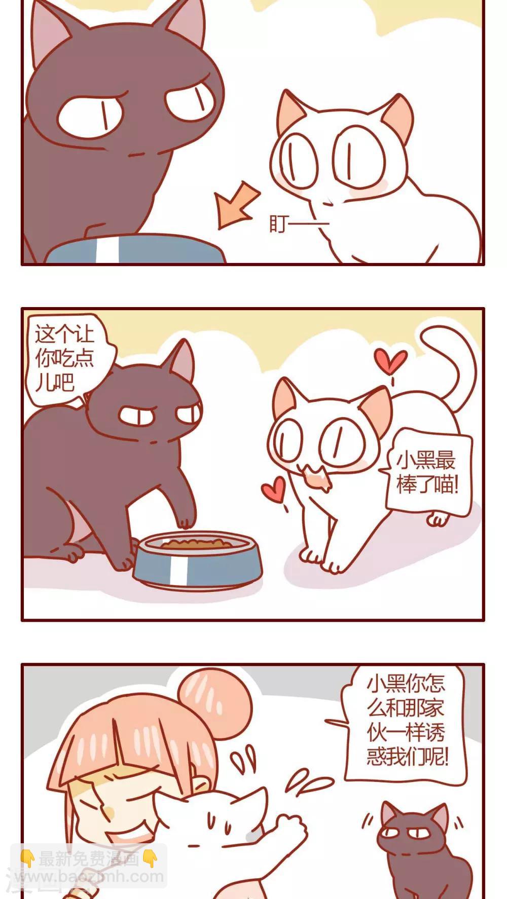 《猫咪甜品屋》第28话 第4页