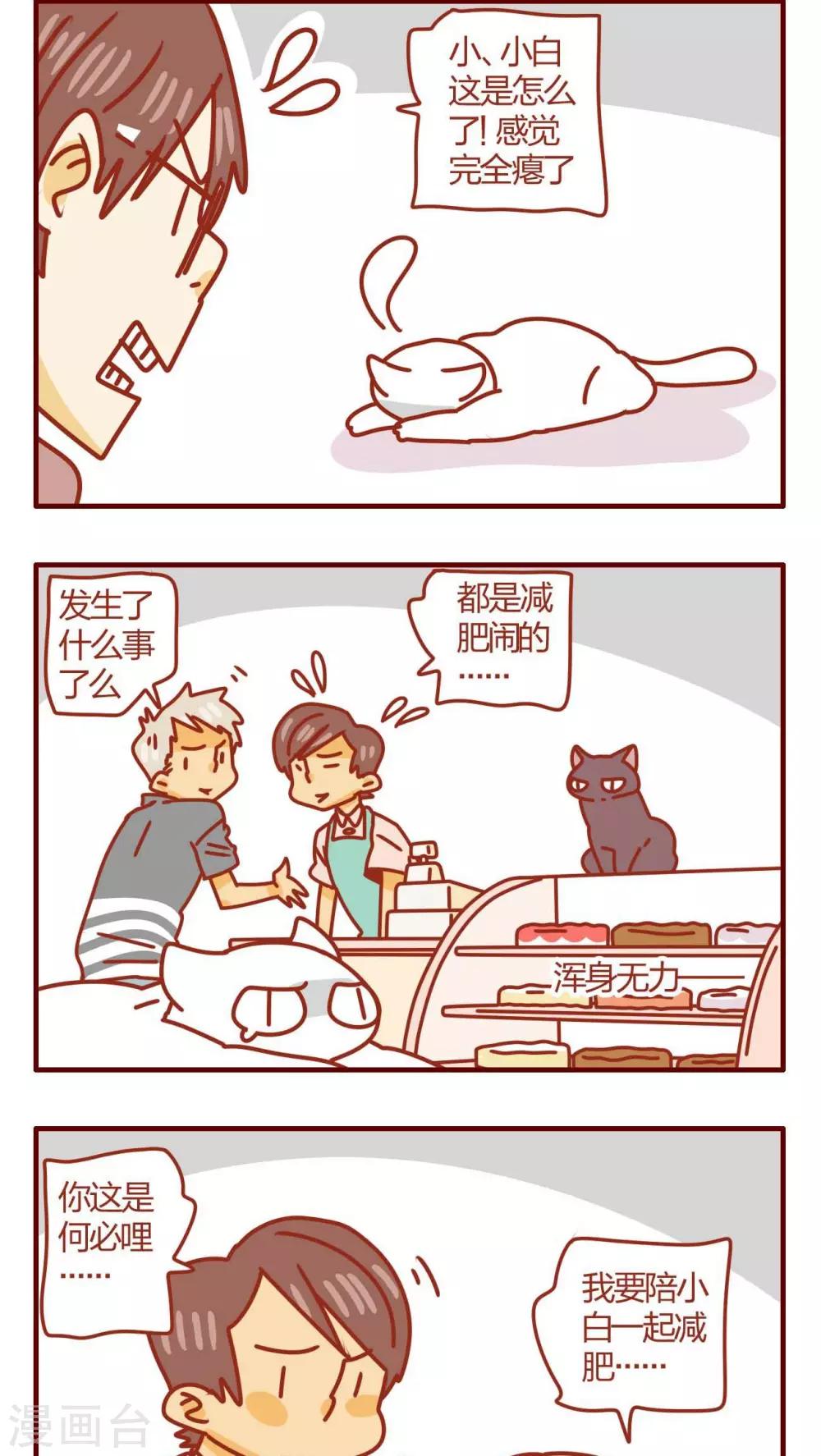 《猫咪甜品屋》第28话 第6页