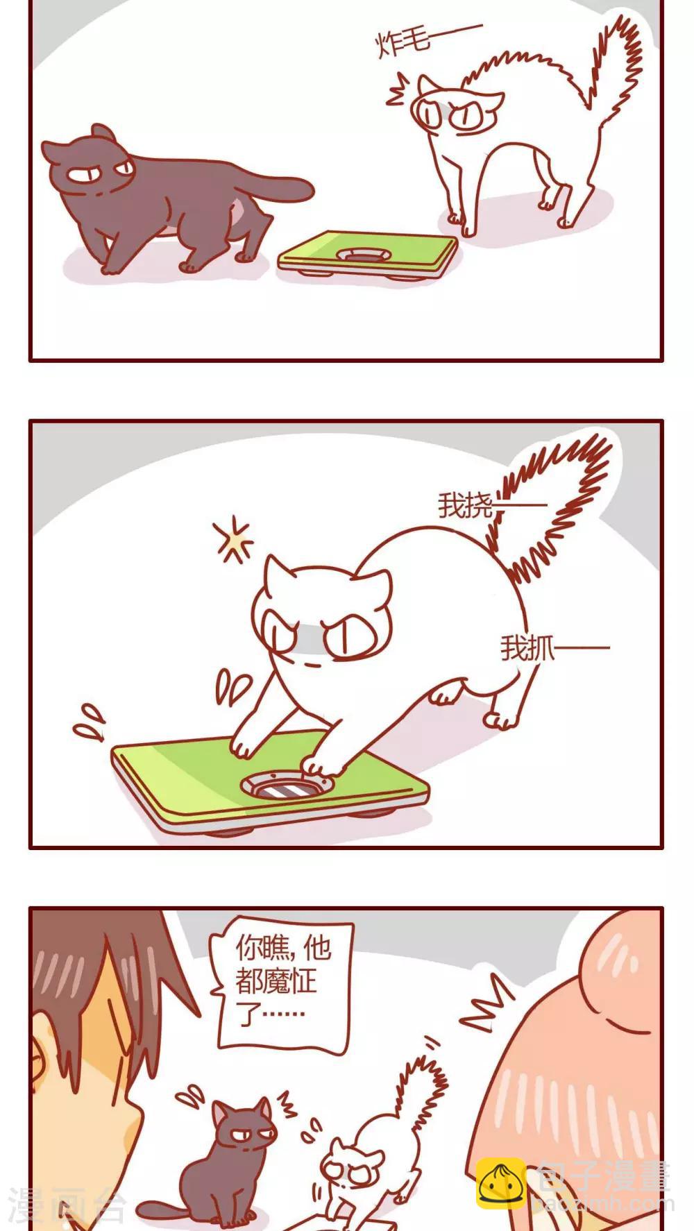 《猫咪甜品屋》第28话 第8页