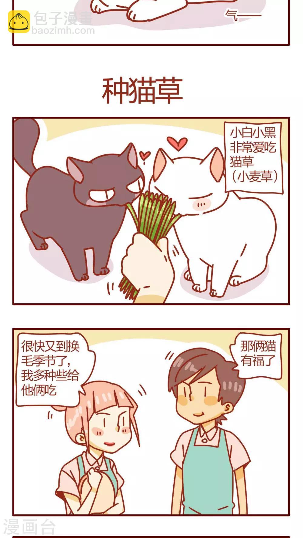《猫咪甜品屋》第25话 第13页