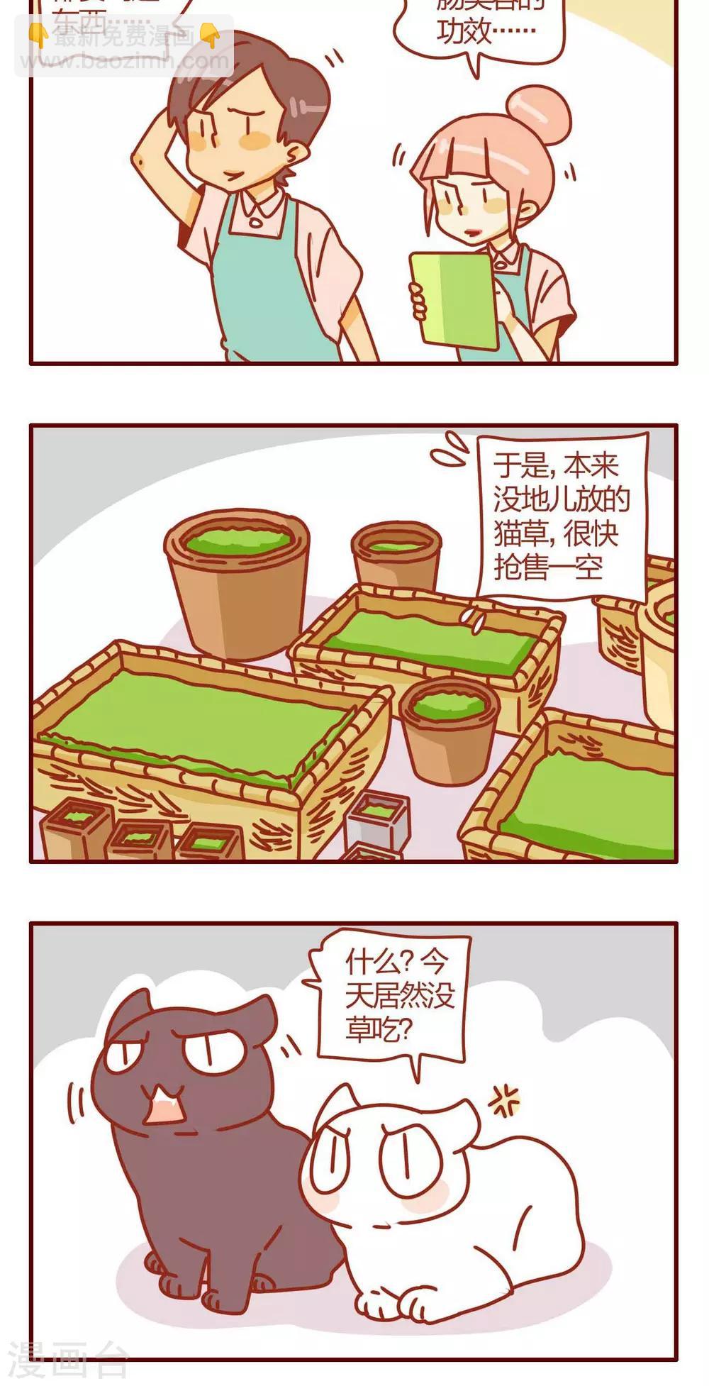 《猫咪甜品屋》第25话 第20页