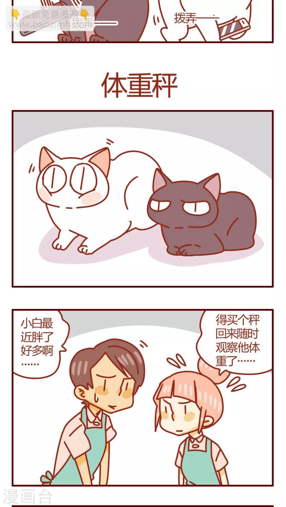 《猫咪甜品屋》第27话 第13页