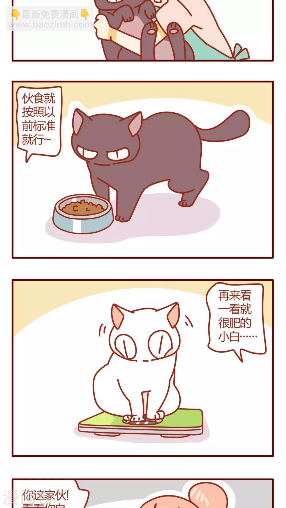 《猫咪甜品屋》第27话 第15页