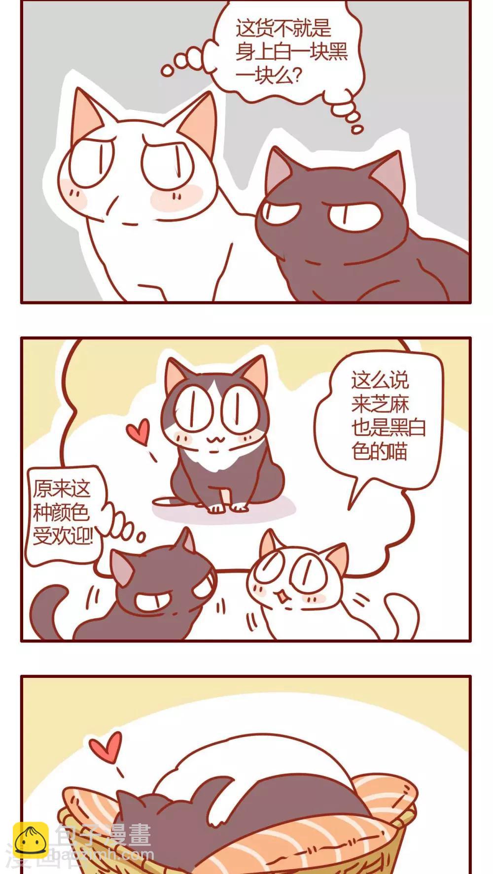 《猫咪甜品屋》第26话 第10页