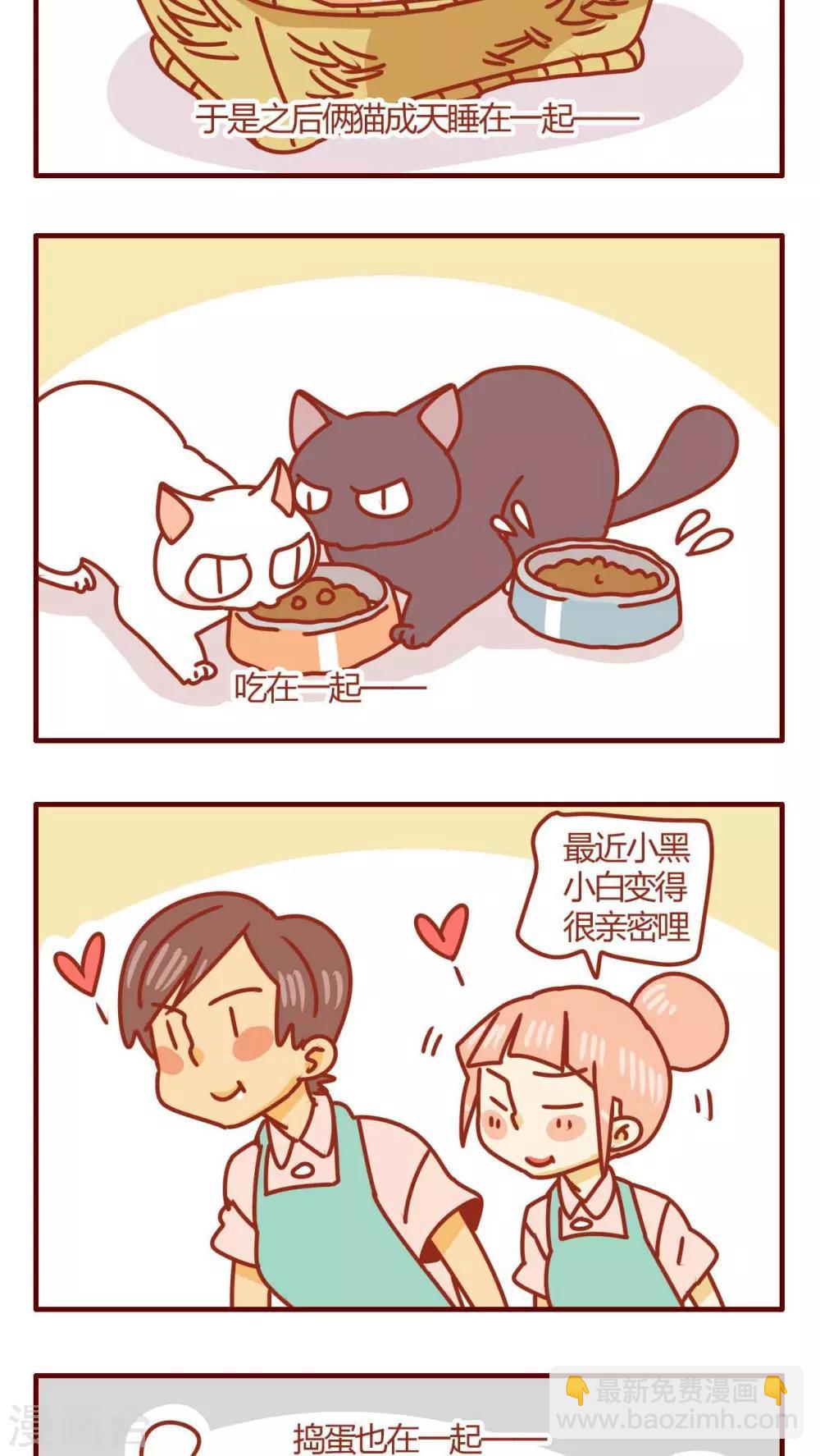 《猫咪甜品屋》第26话 第11页