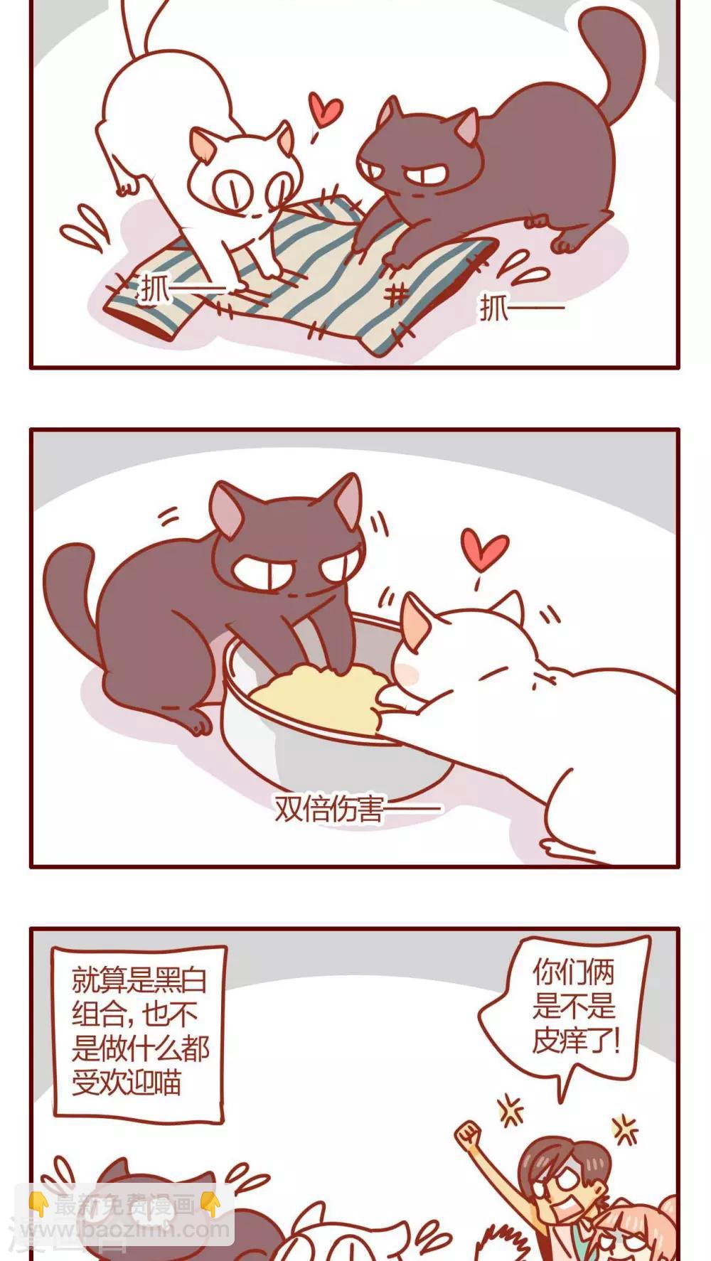 《猫咪甜品屋》第26话 第12页