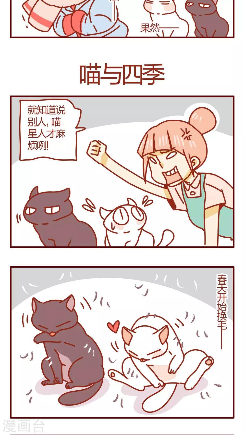 《猫咪甜品屋》第26话 第5页