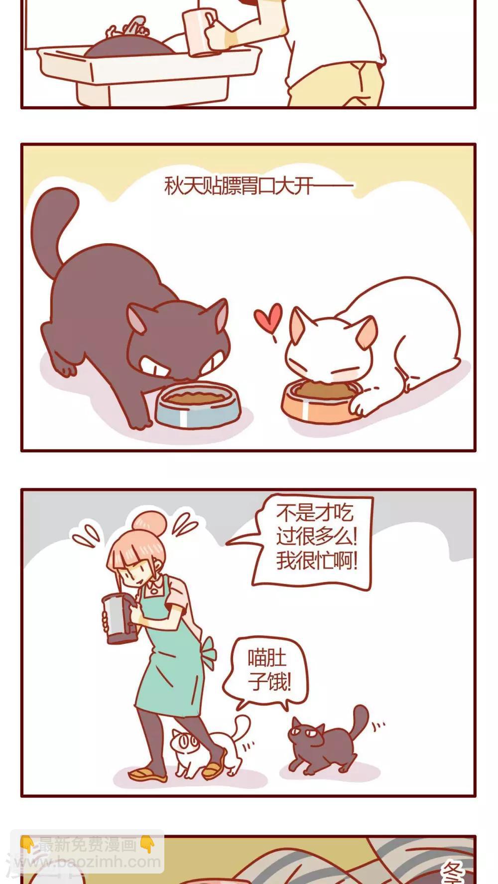 《猫咪甜品屋》第26话 第7页