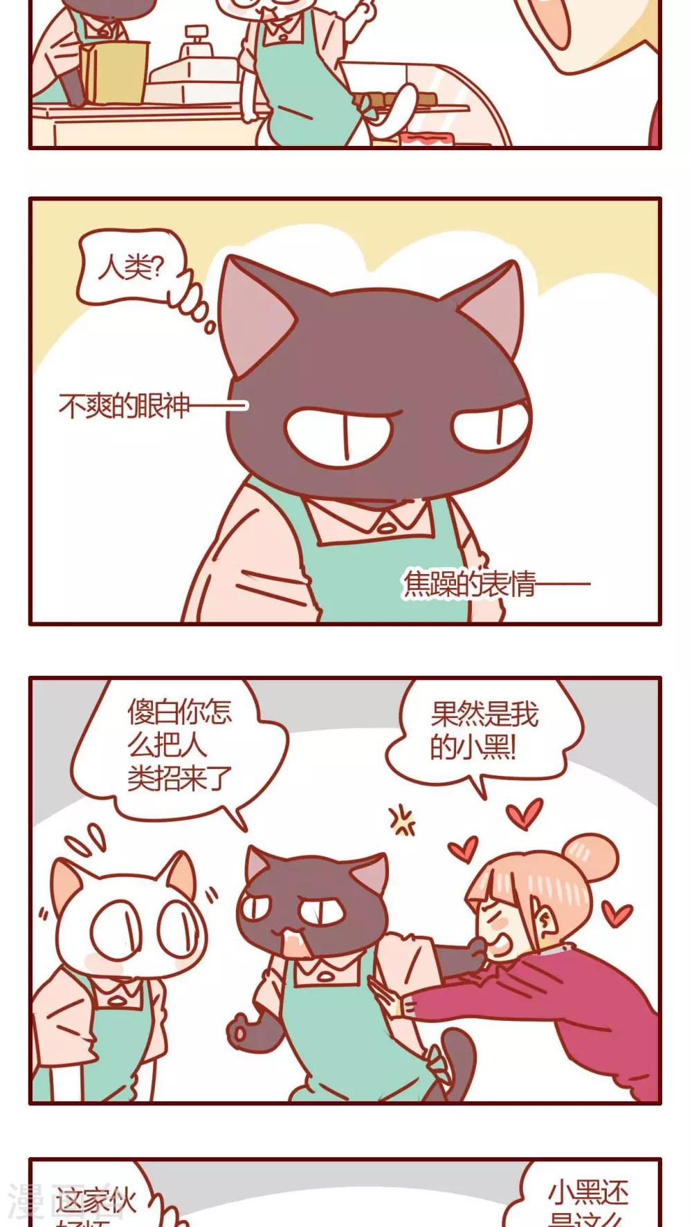 《猫咪甜品屋》第31话 第11页