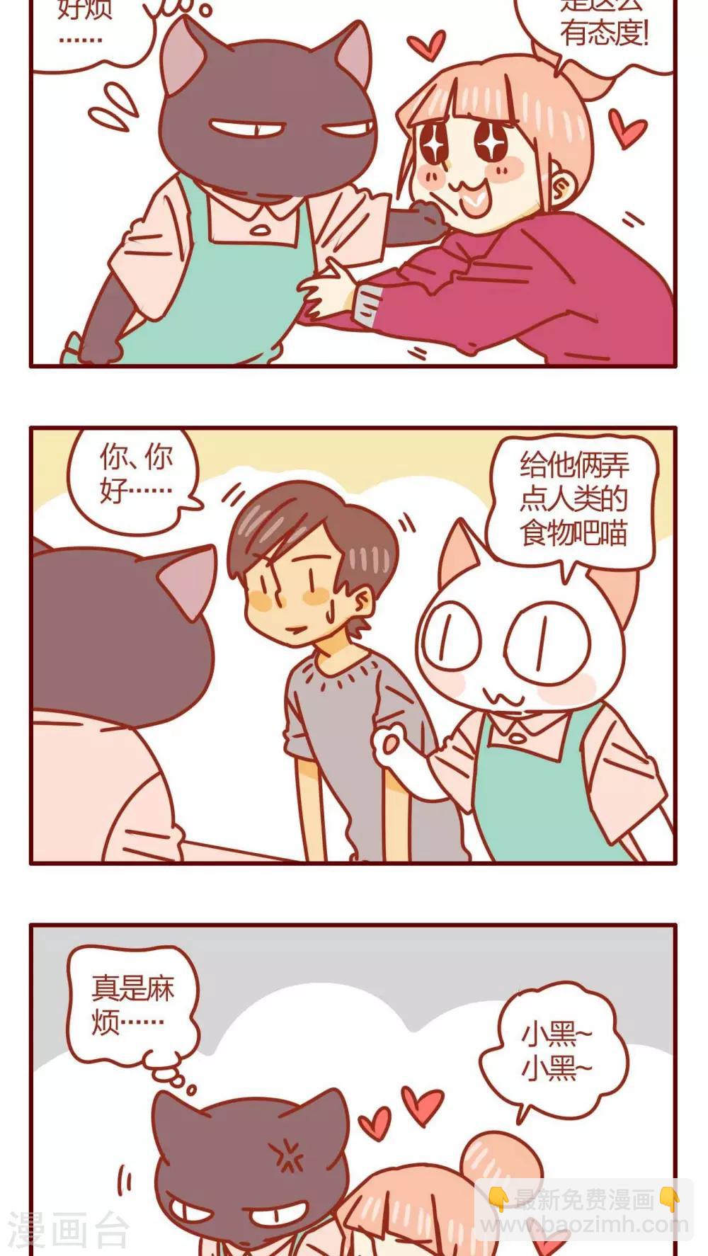 《猫咪甜品屋》第31话 第12页