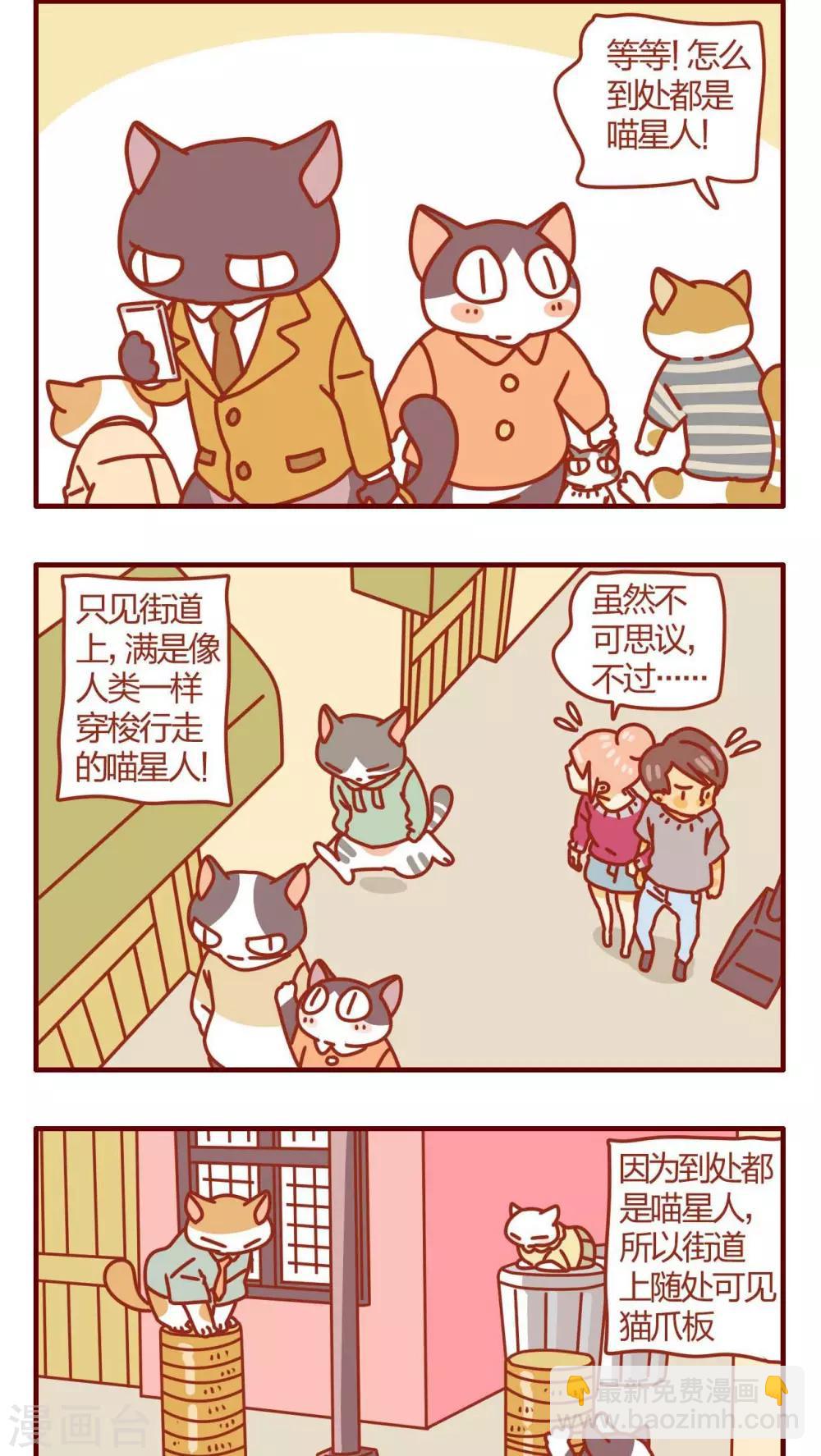 《猫咪甜品屋》第30话 第6页