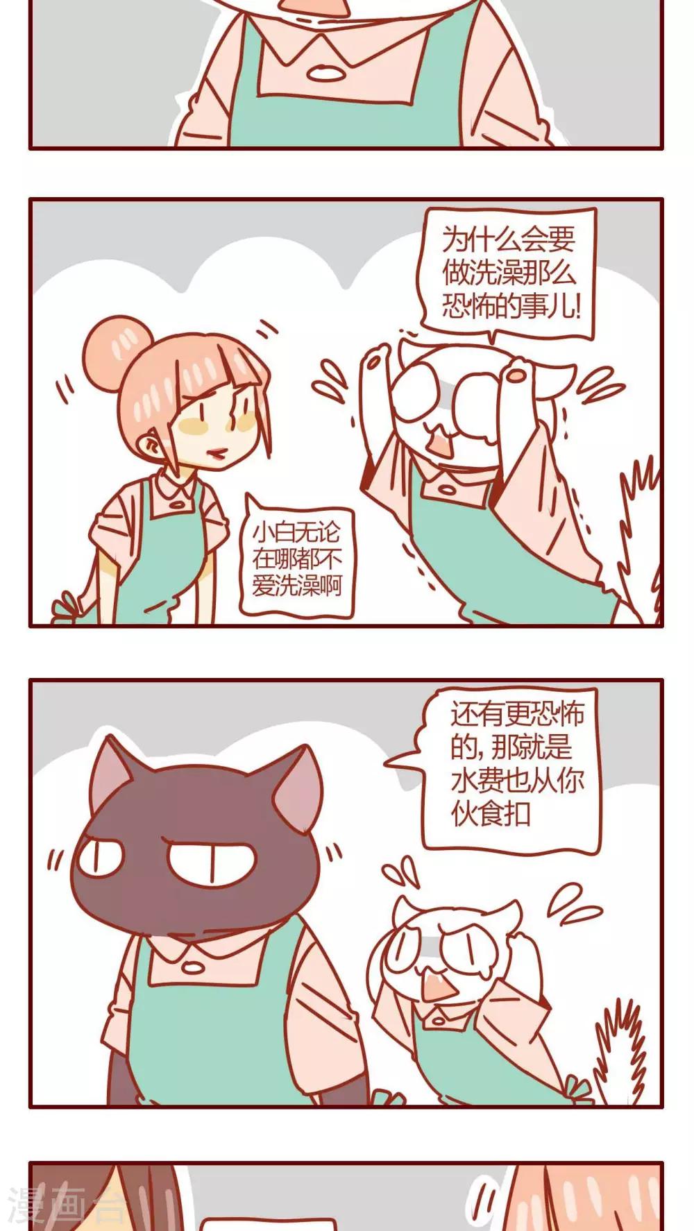 《猫咪甜品屋》第32话 第11页