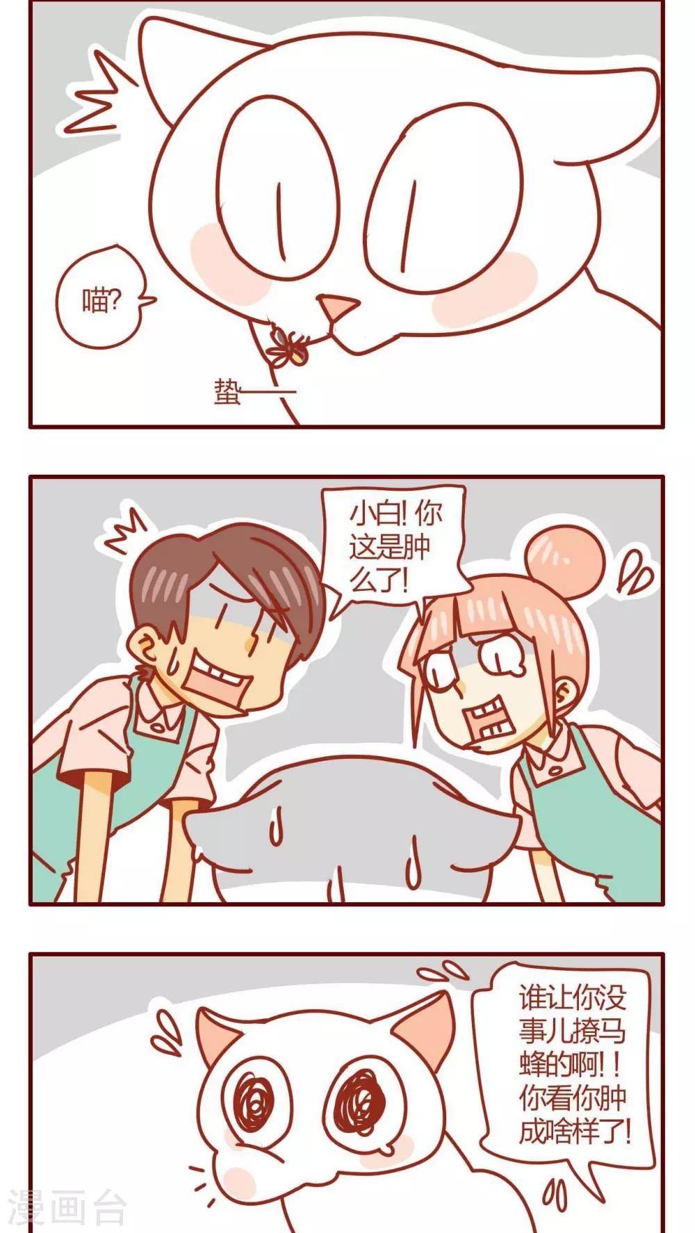 《猫咪甜品屋》第29话 第10页