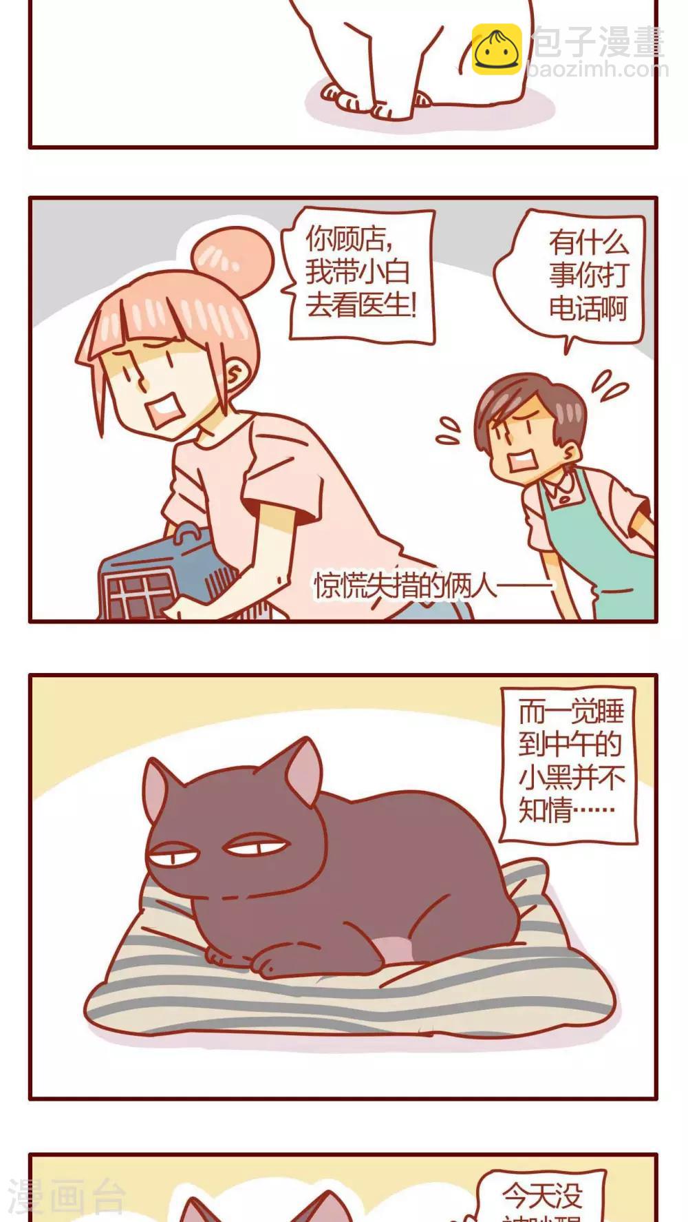 《猫咪甜品屋》第29话 第11页