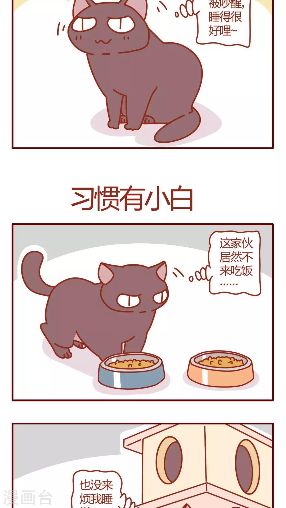 《猫咪甜品屋》第29话 第12页