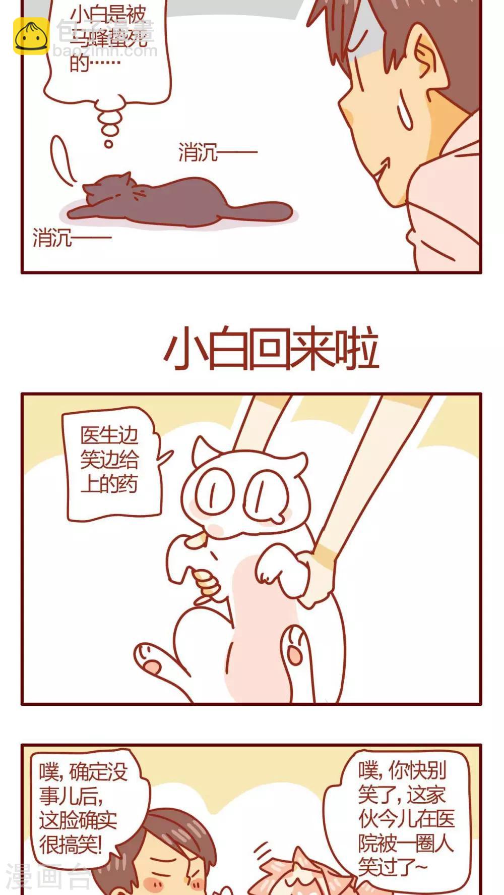 《猫咪甜品屋》第29话 第16页