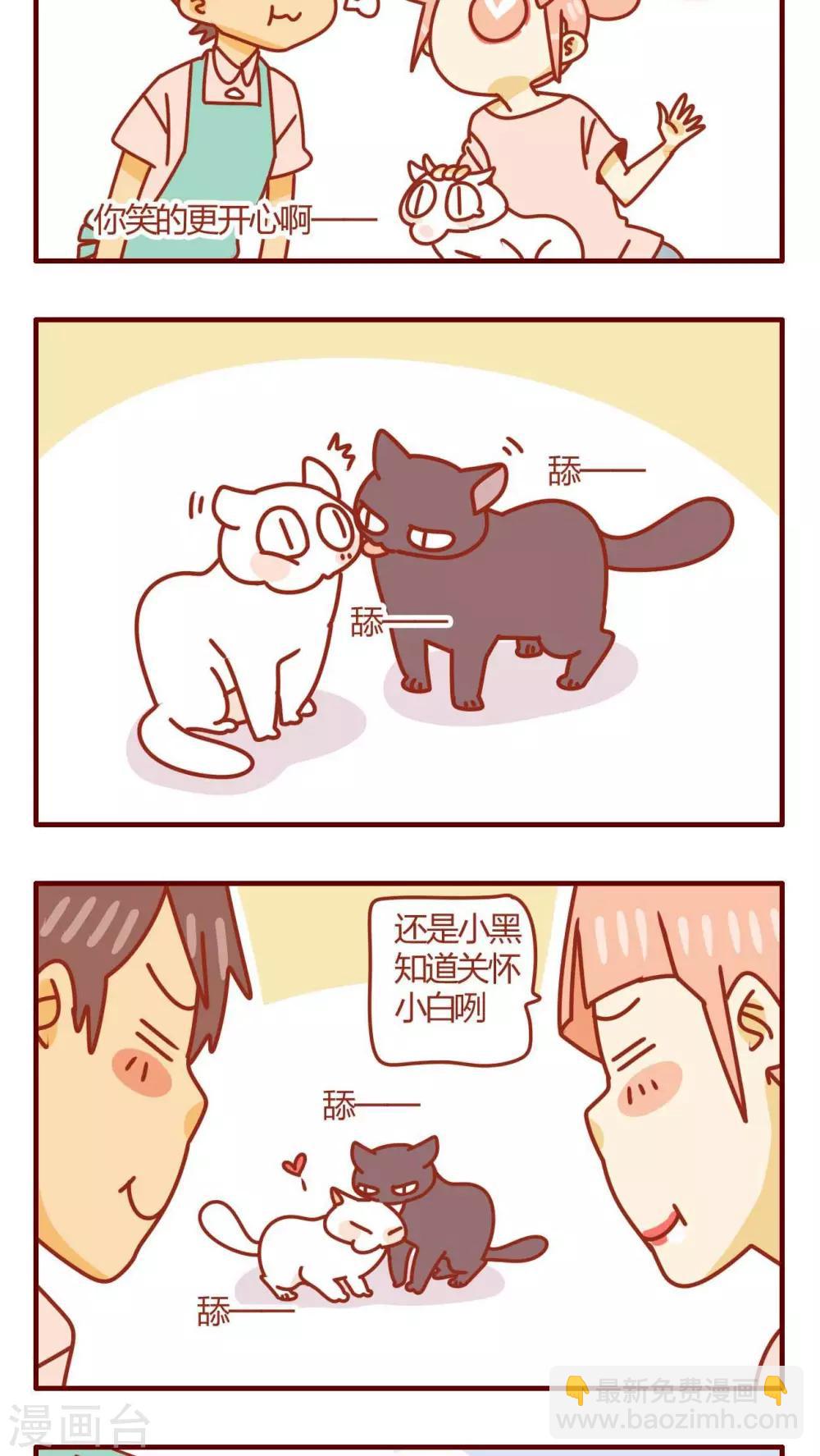 《猫咪甜品屋》第29话 第17页