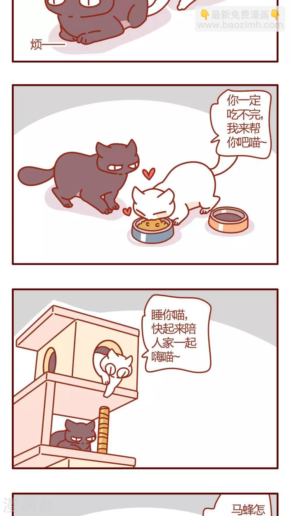 《猫咪甜品屋》第29话 第19页