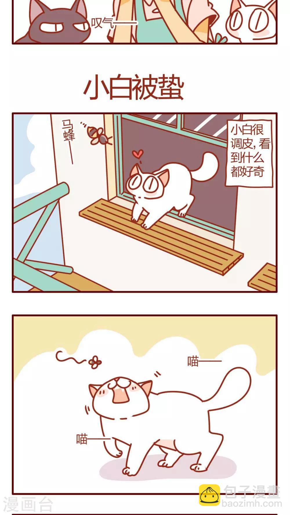 《猫咪甜品屋》第29话 第9页