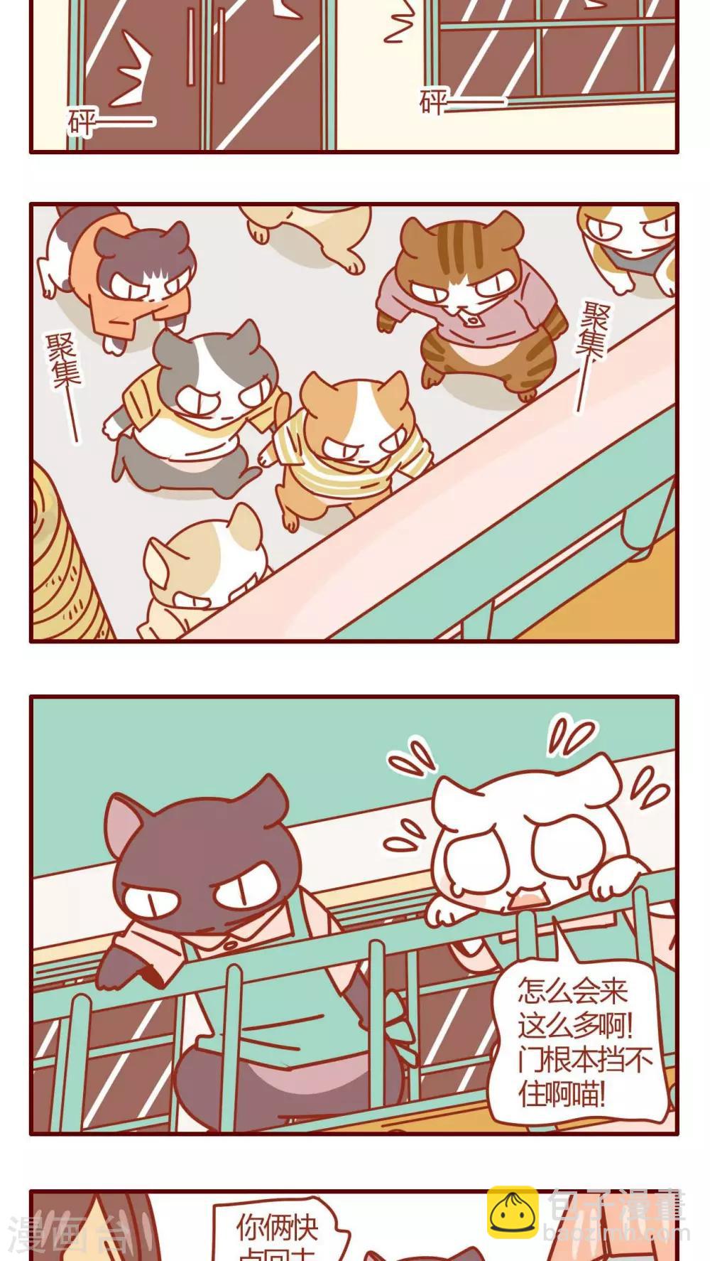 《猫咪甜品屋》第35话 第11页