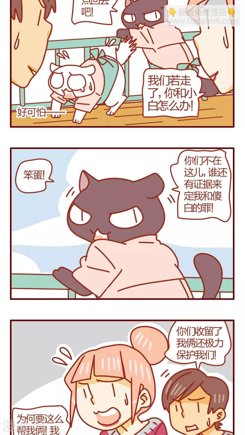 《猫咪甜品屋》第35话 第12页