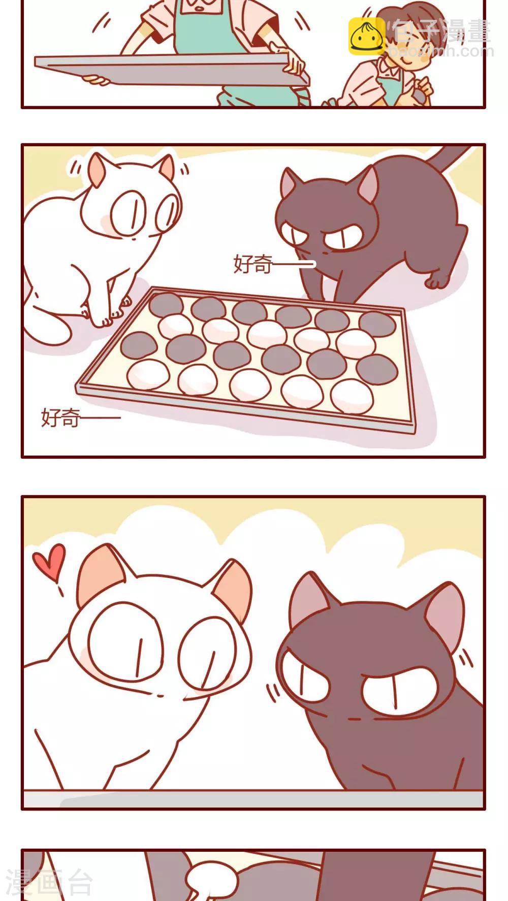 《猫咪甜品屋》第35话 第15页