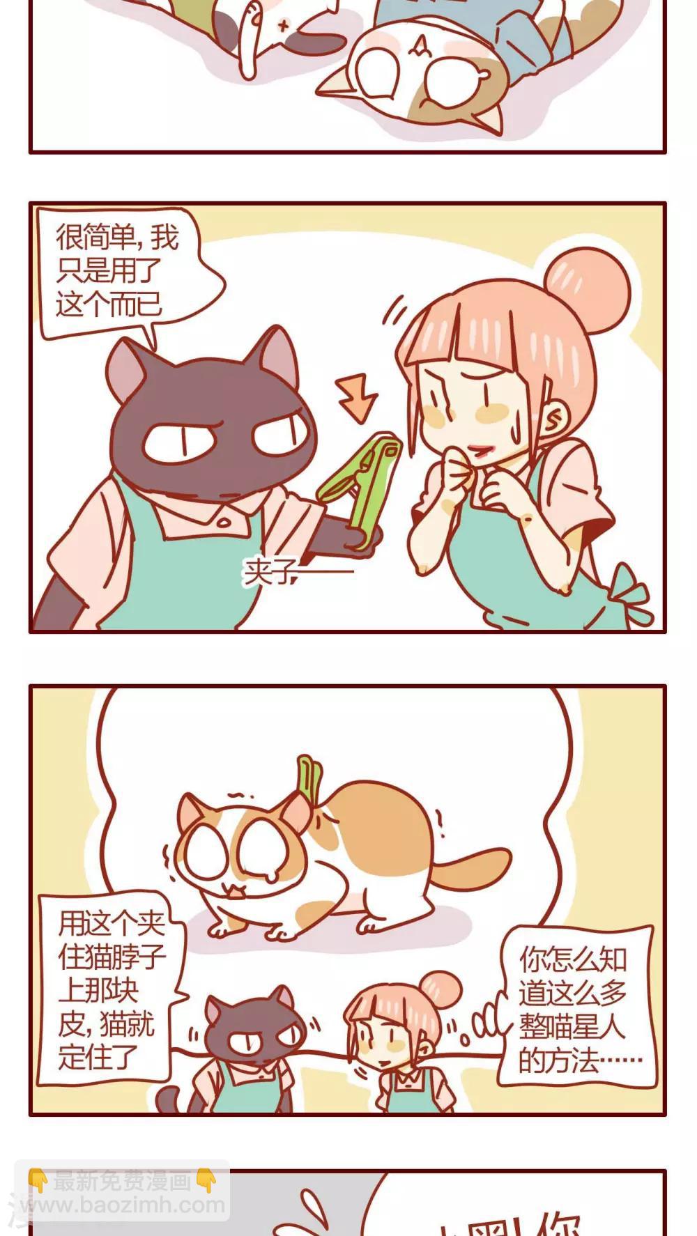 《猫咪甜品屋》第35话 第3页