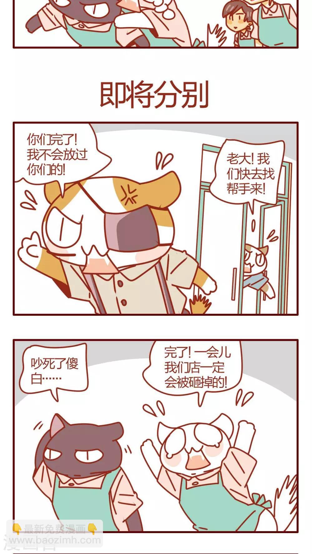 《猫咪甜品屋》第35话 第5页