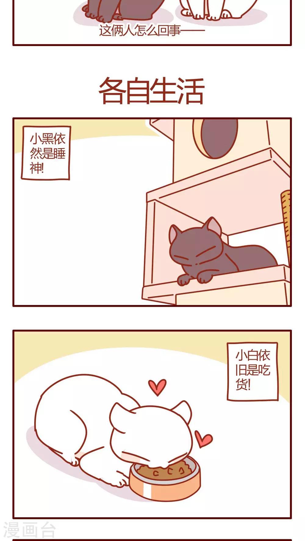 《猫咪甜品屋》第36话 第13页