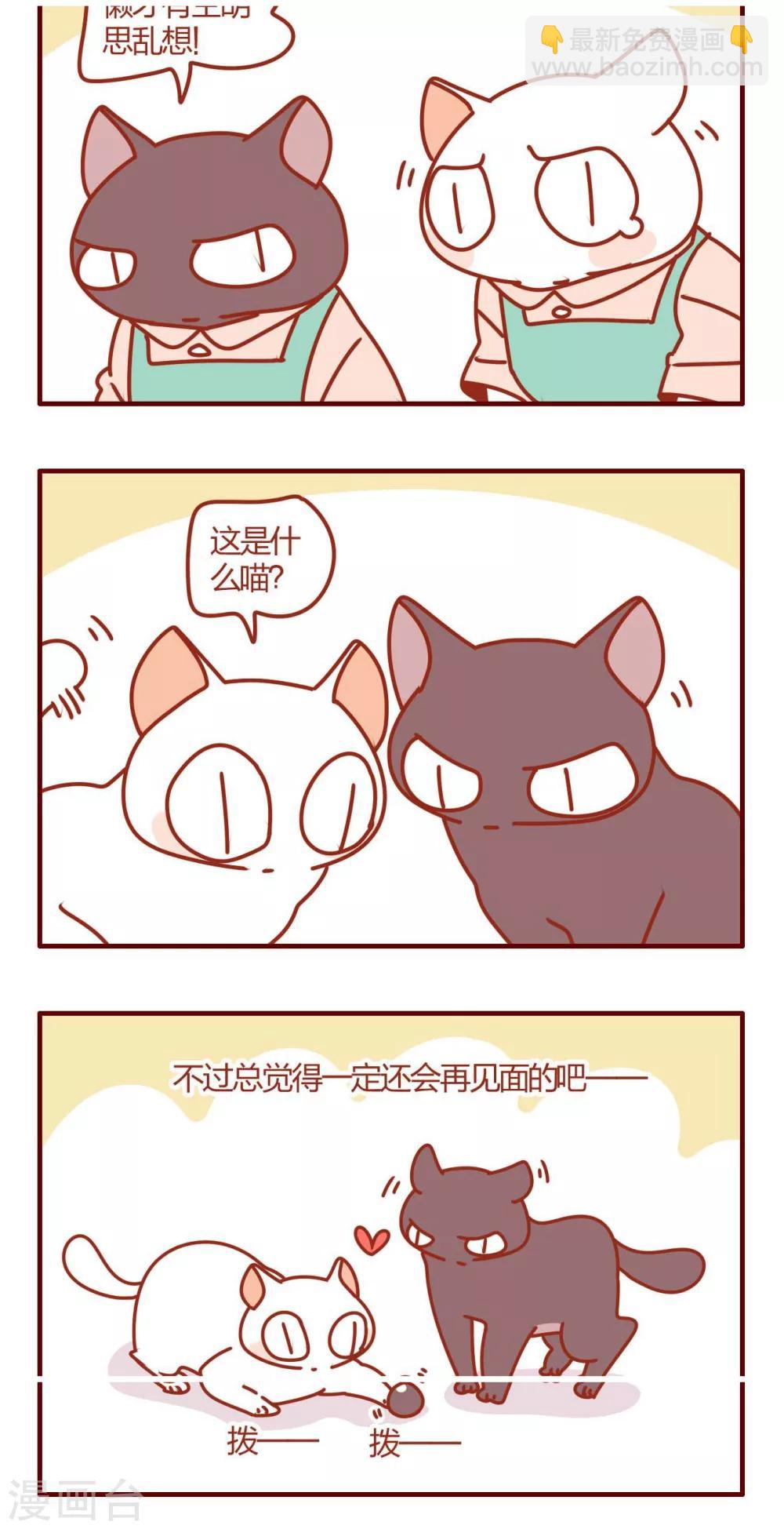 《猫咪甜品屋》第36话 第16页