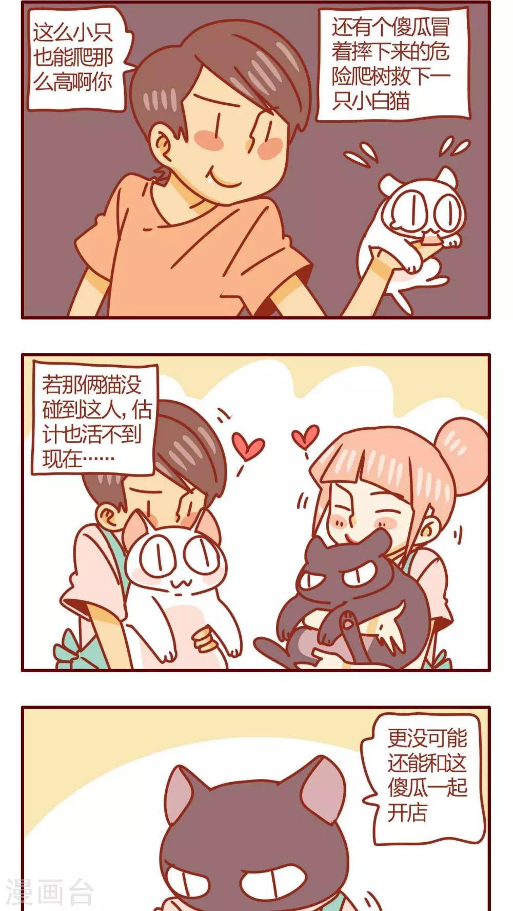 《猫咪甜品屋》第36话 第2页
