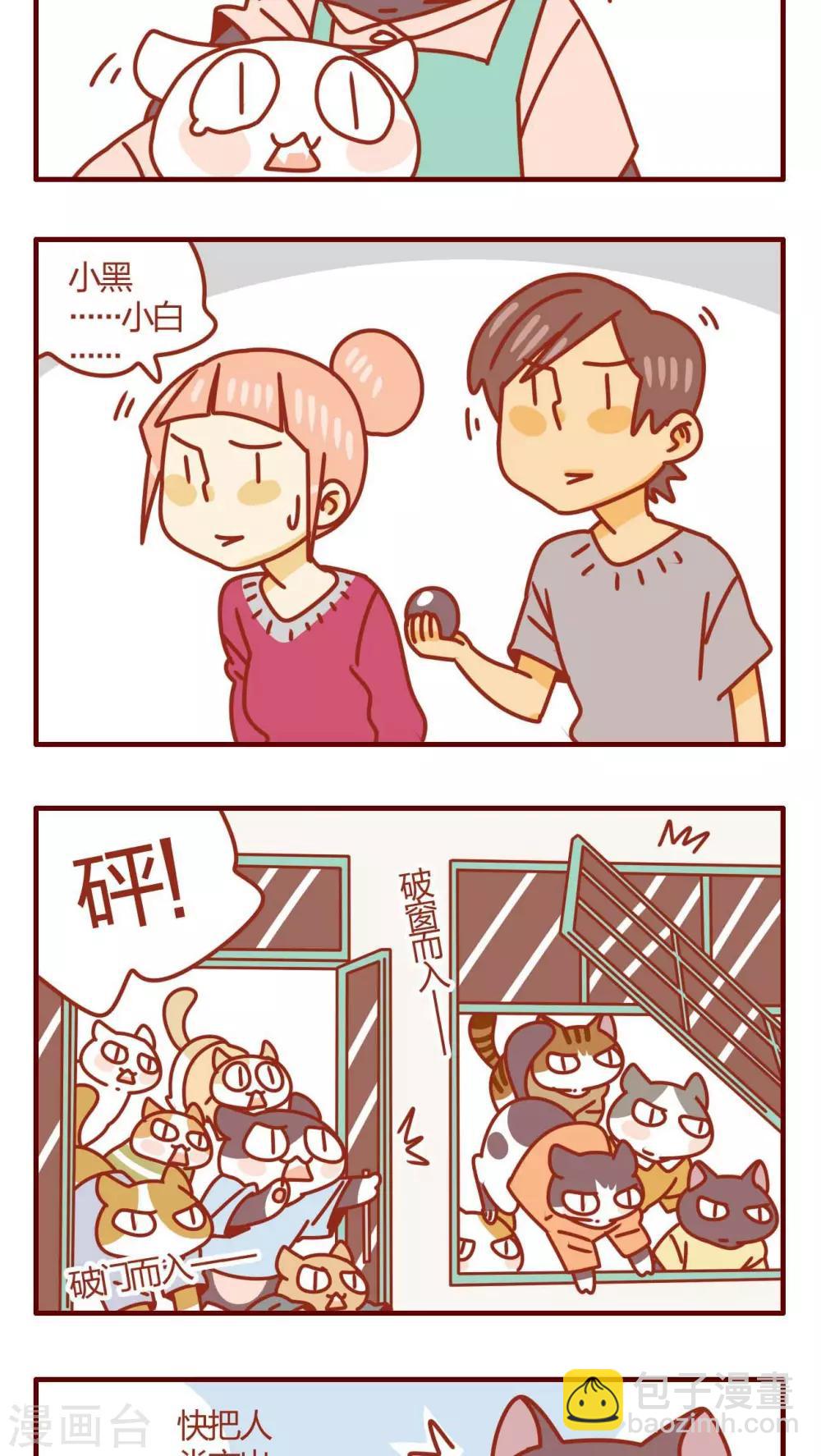 《猫咪甜品屋》第36话 第3页