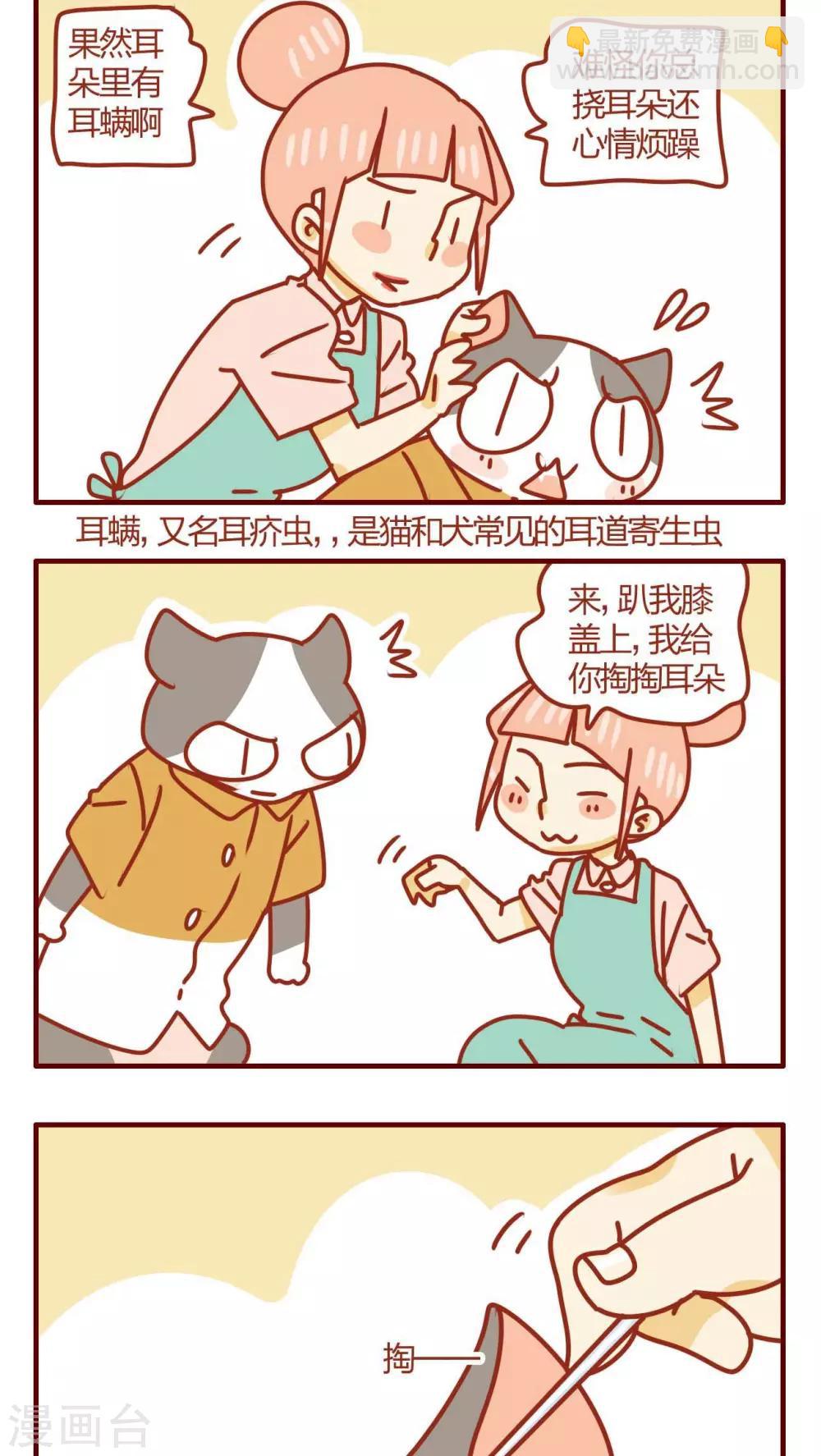 《猫咪甜品屋》第33话 第14页