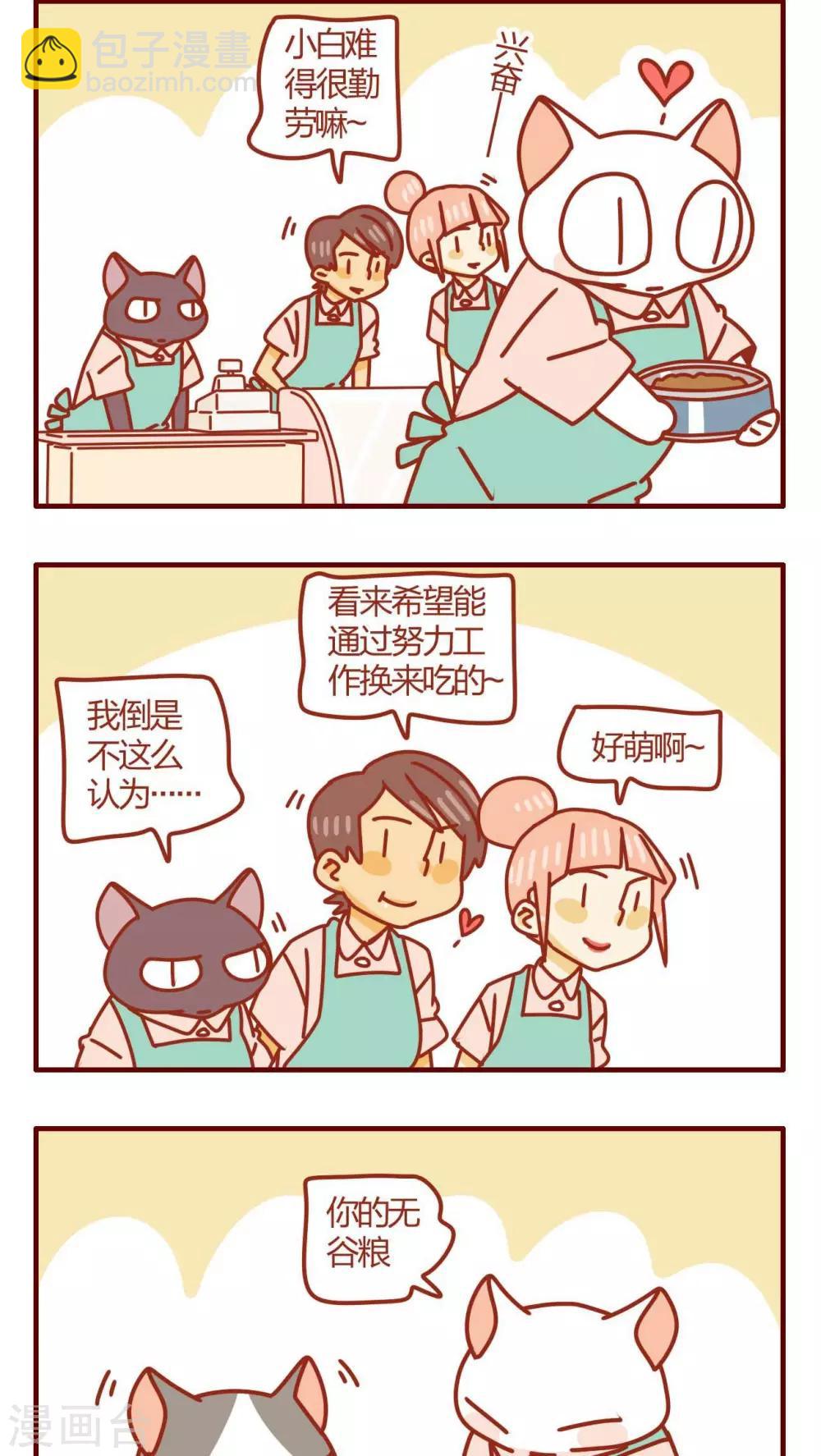 《猫咪甜品屋》第33话 第6页