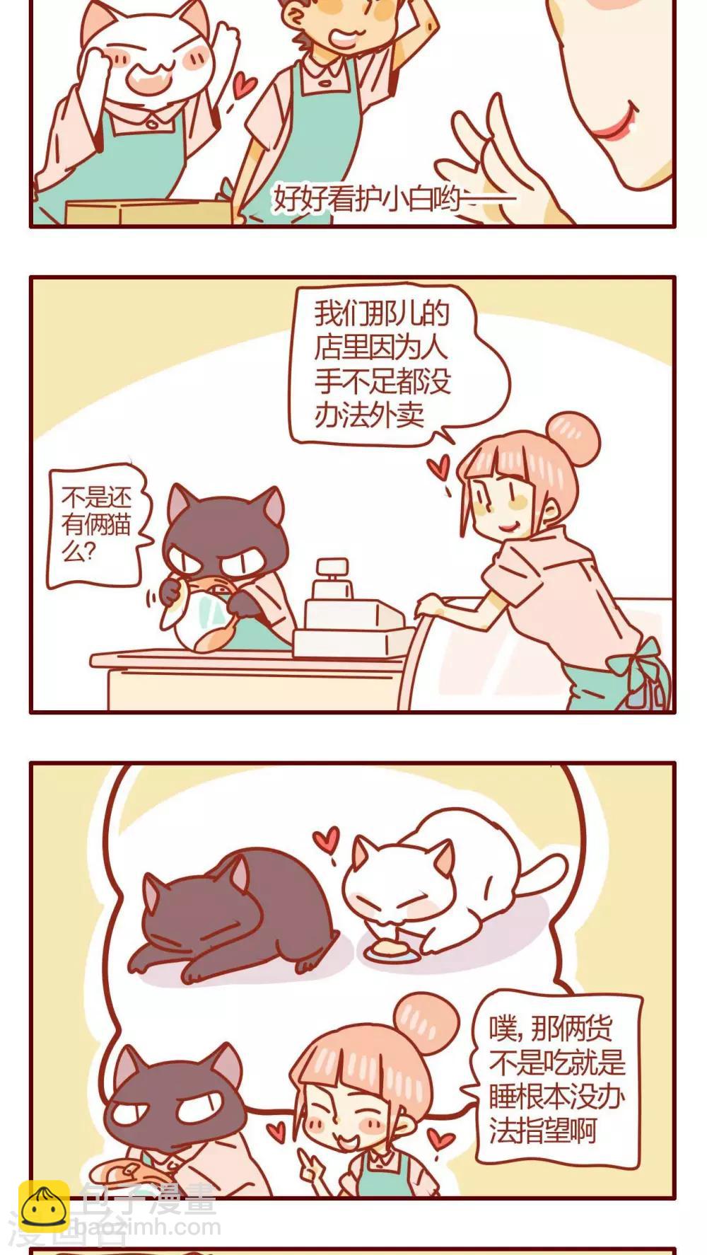 《猫咪甜品屋》第34话 第13页