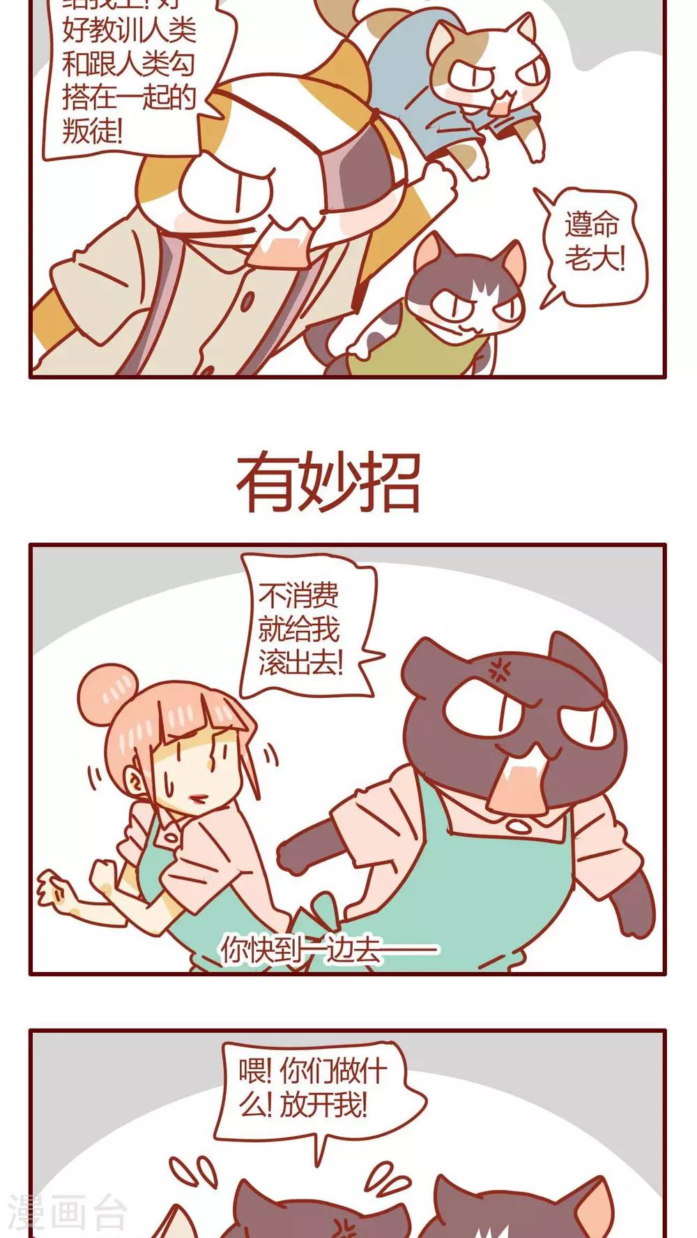 《猫咪甜品屋》第34话 第16页